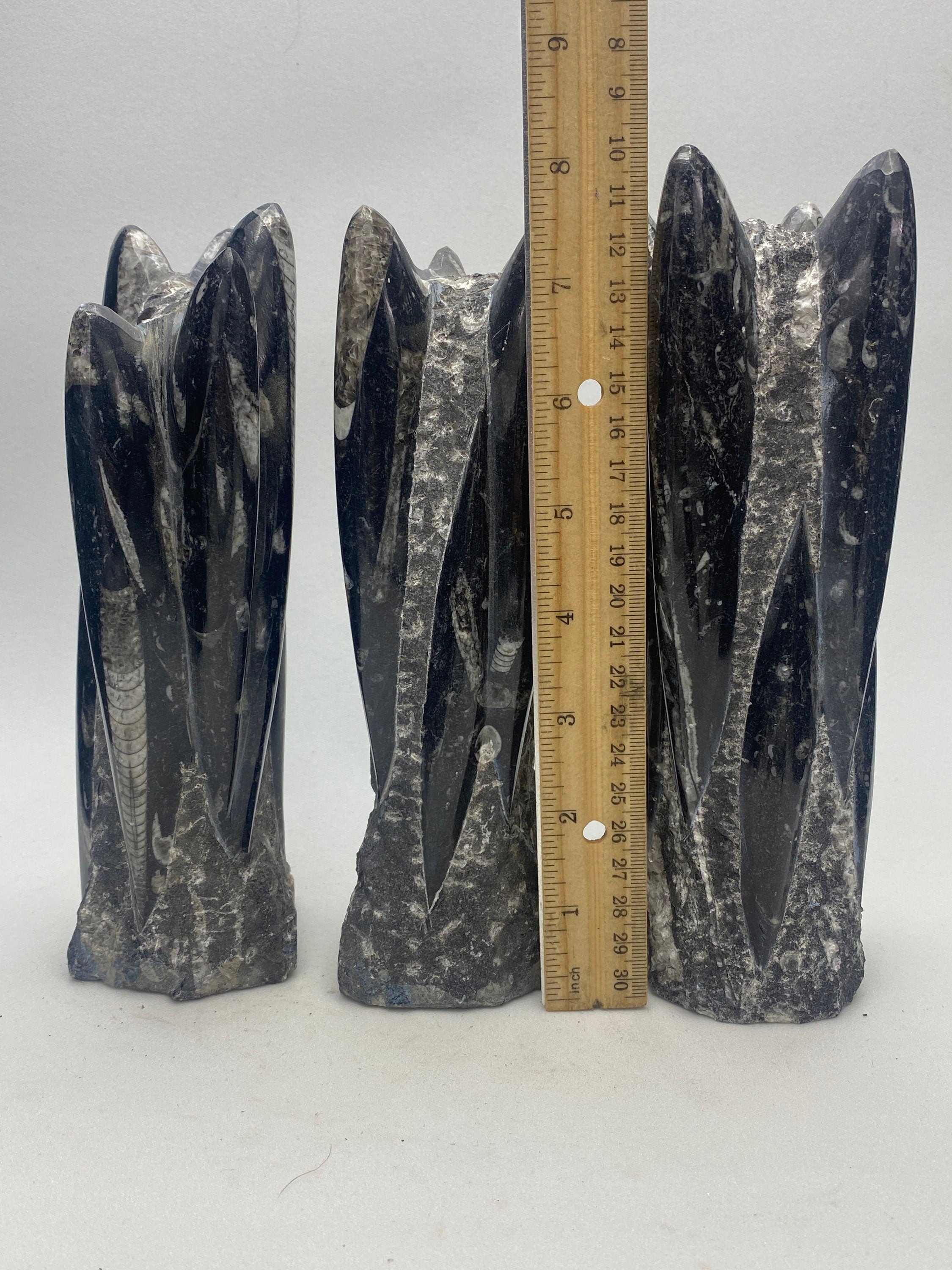 Orthoceras fossil tower, multiple cephalopod fossils