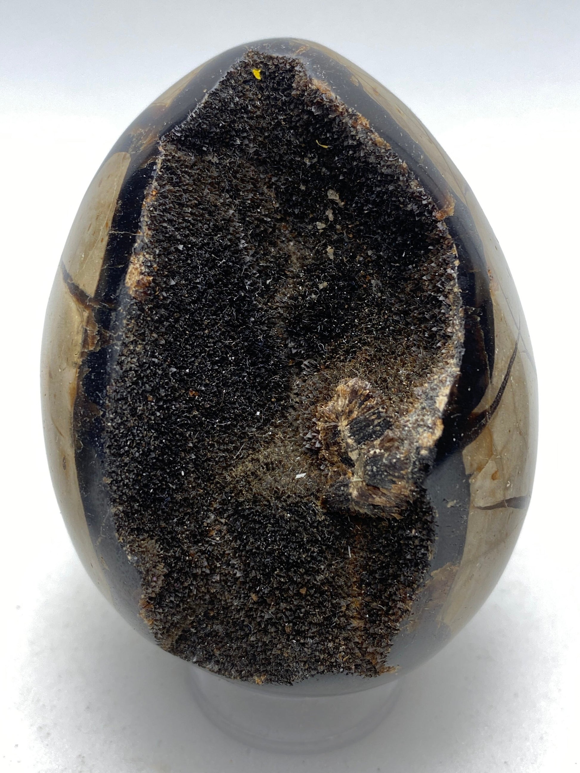 Dragons Egg Septarian Nodule