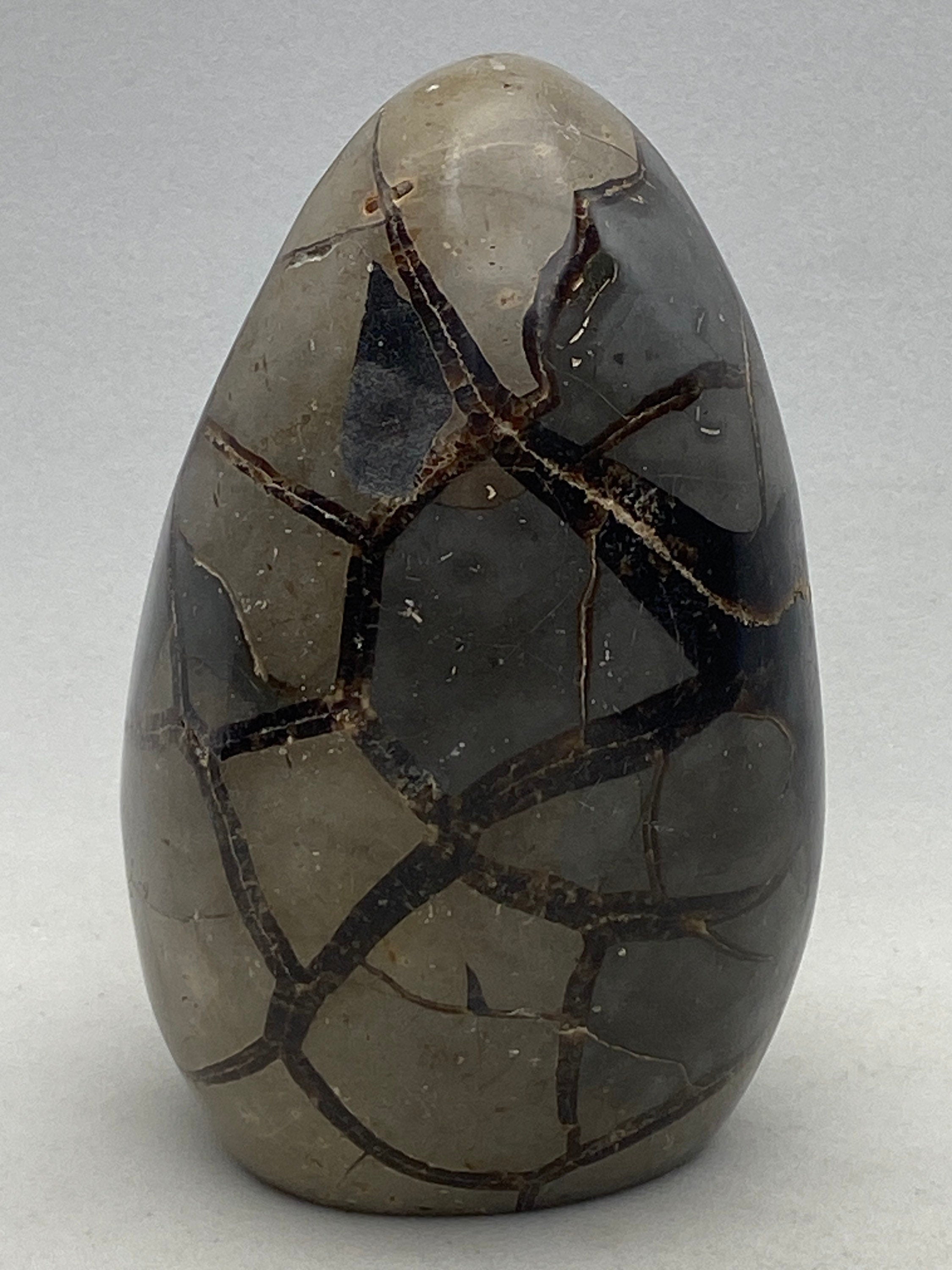 [shopname] - Dragons Egg Septarian Nodule, rock decor