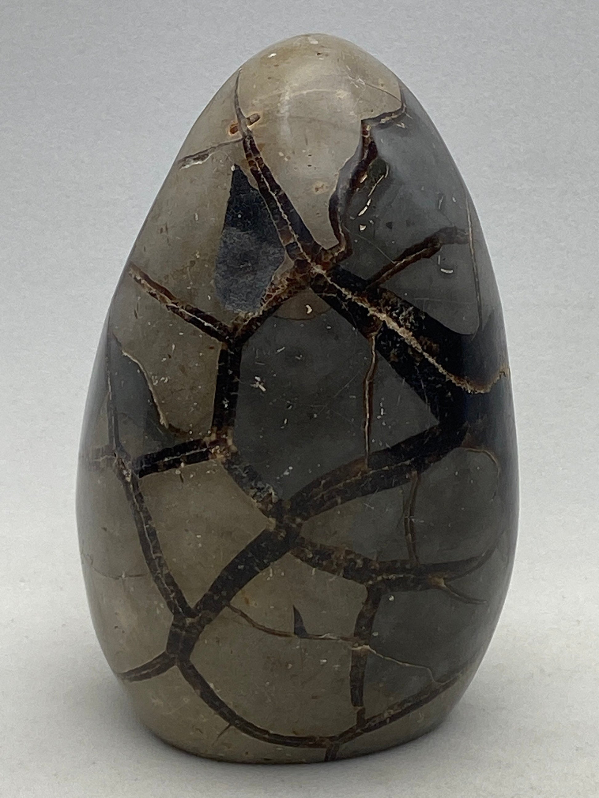 [shopname] - Dragons Egg Septarian Nodule, rock decor
