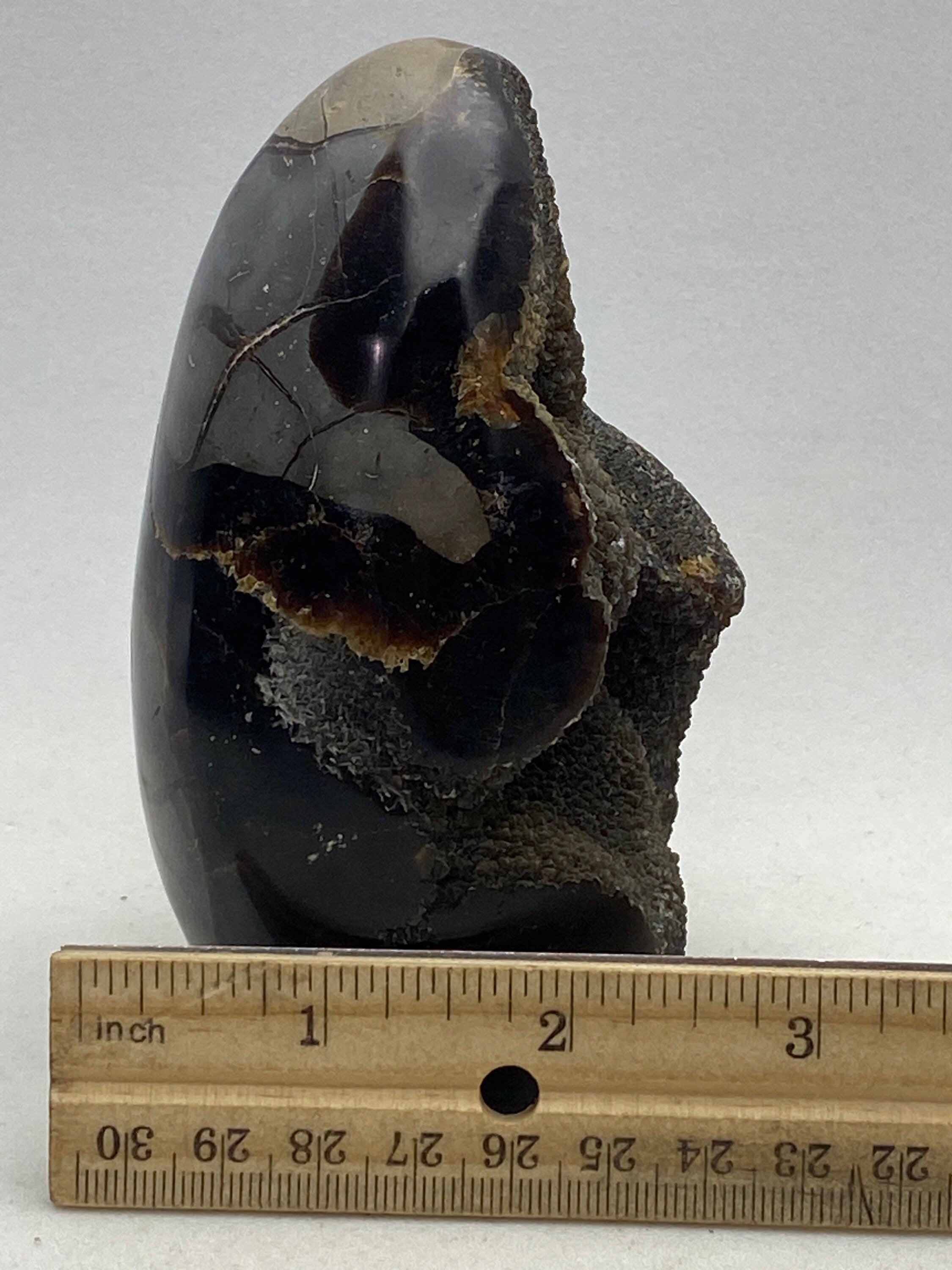 [shopname] - Dragons Egg Septarian Nodule, rock decor