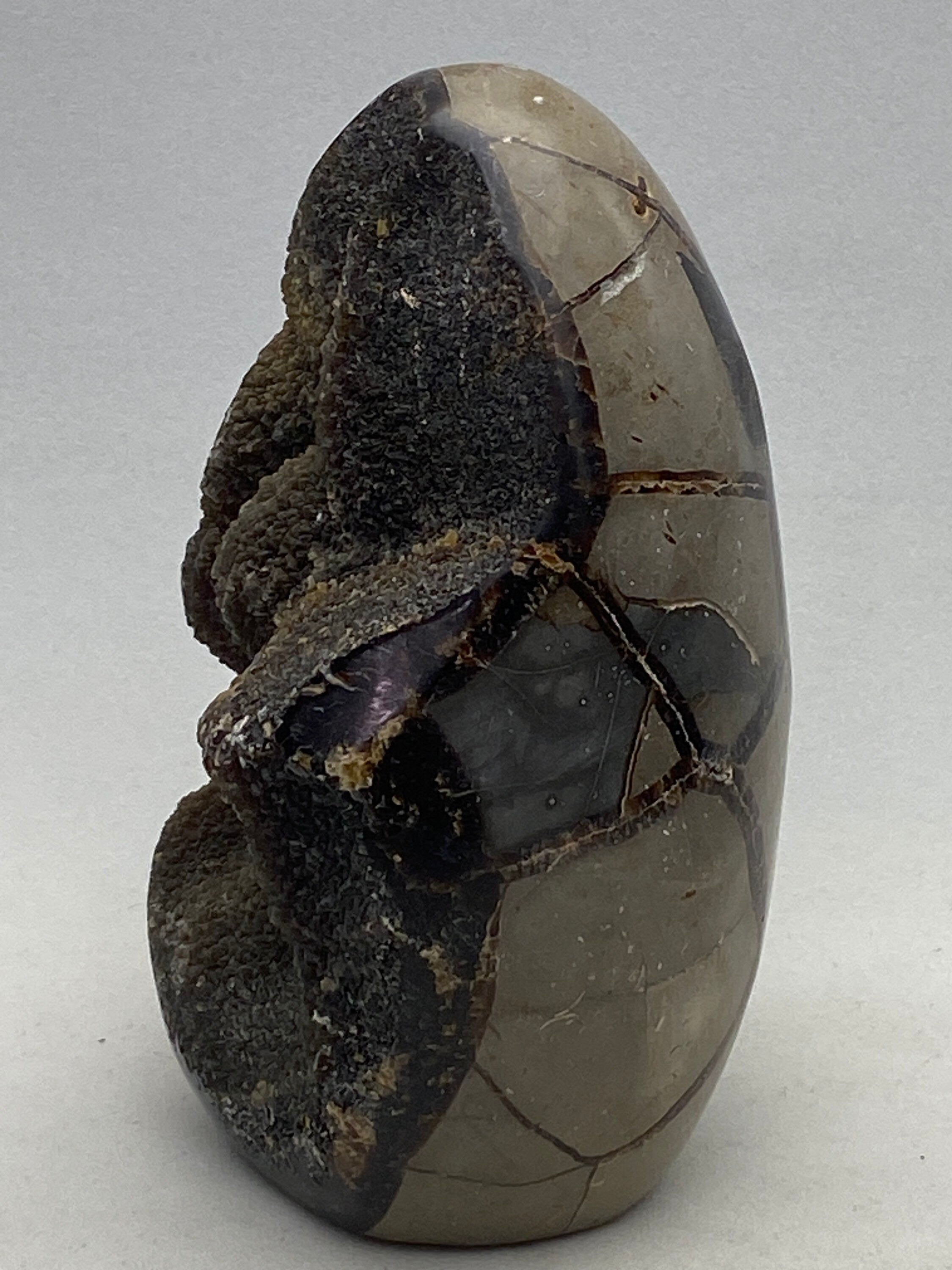[shopname] - Dragons Egg Septarian Nodule, rock decor