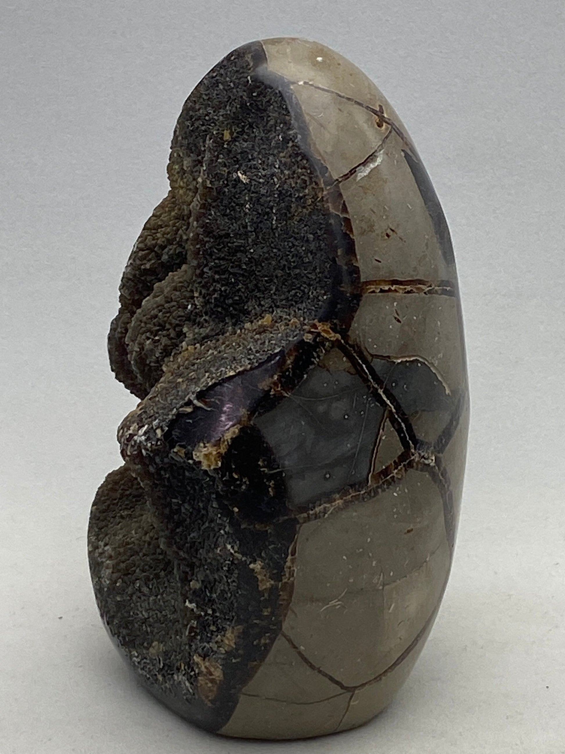[shopname] - Dragons Egg Septarian Nodule, rock decor