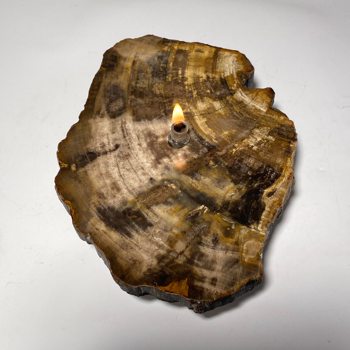 Petrified wood Rock Oil Lamp