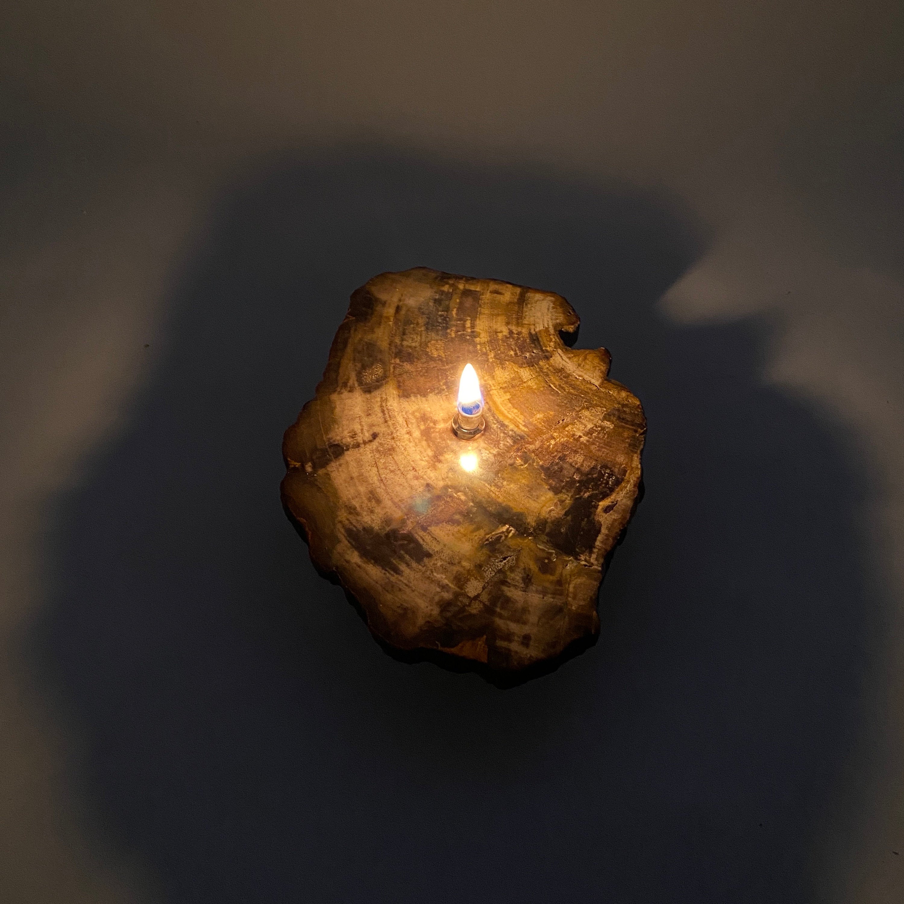 Petrified wood Rock Oil Lamp