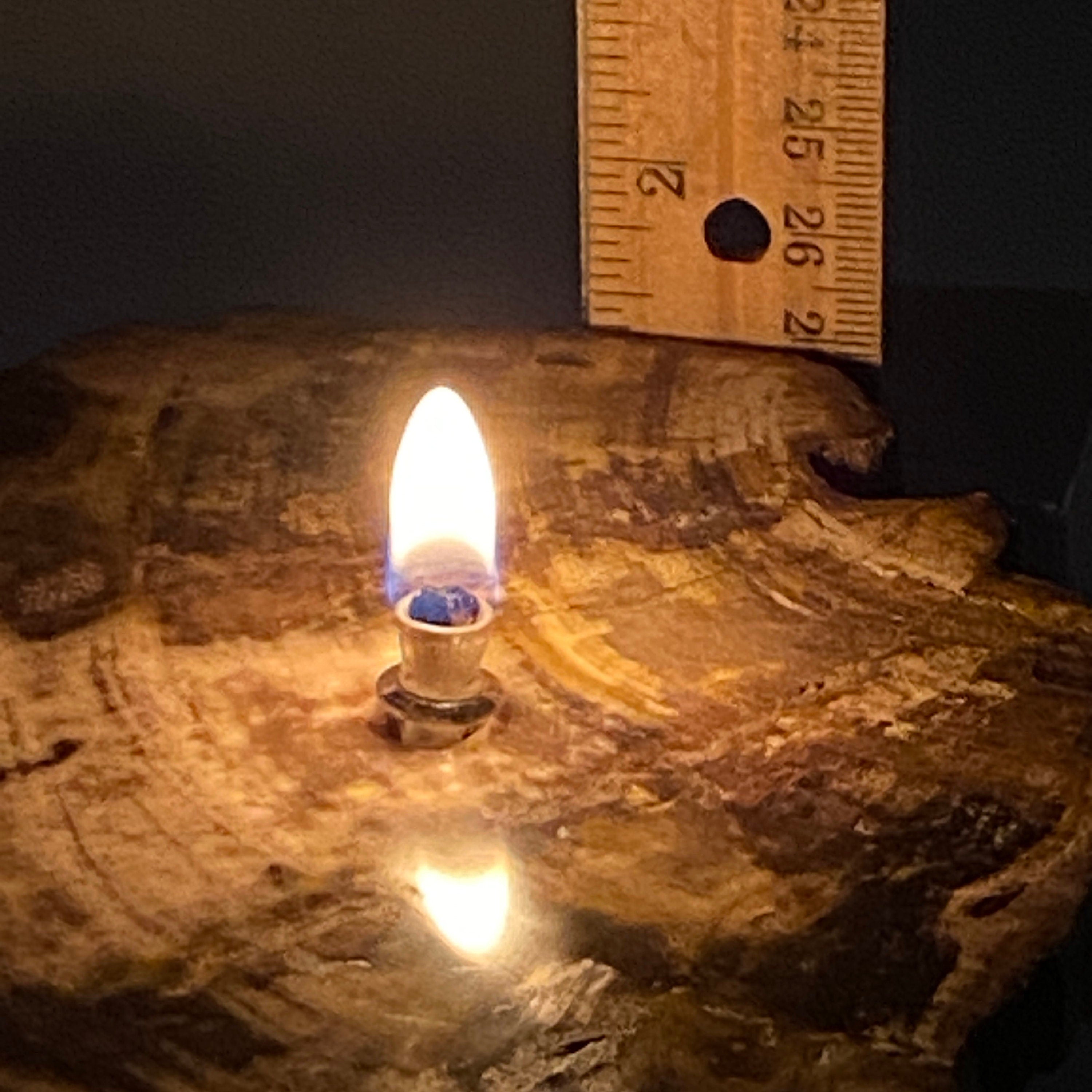 Petrified wood Rock Oil Lamp