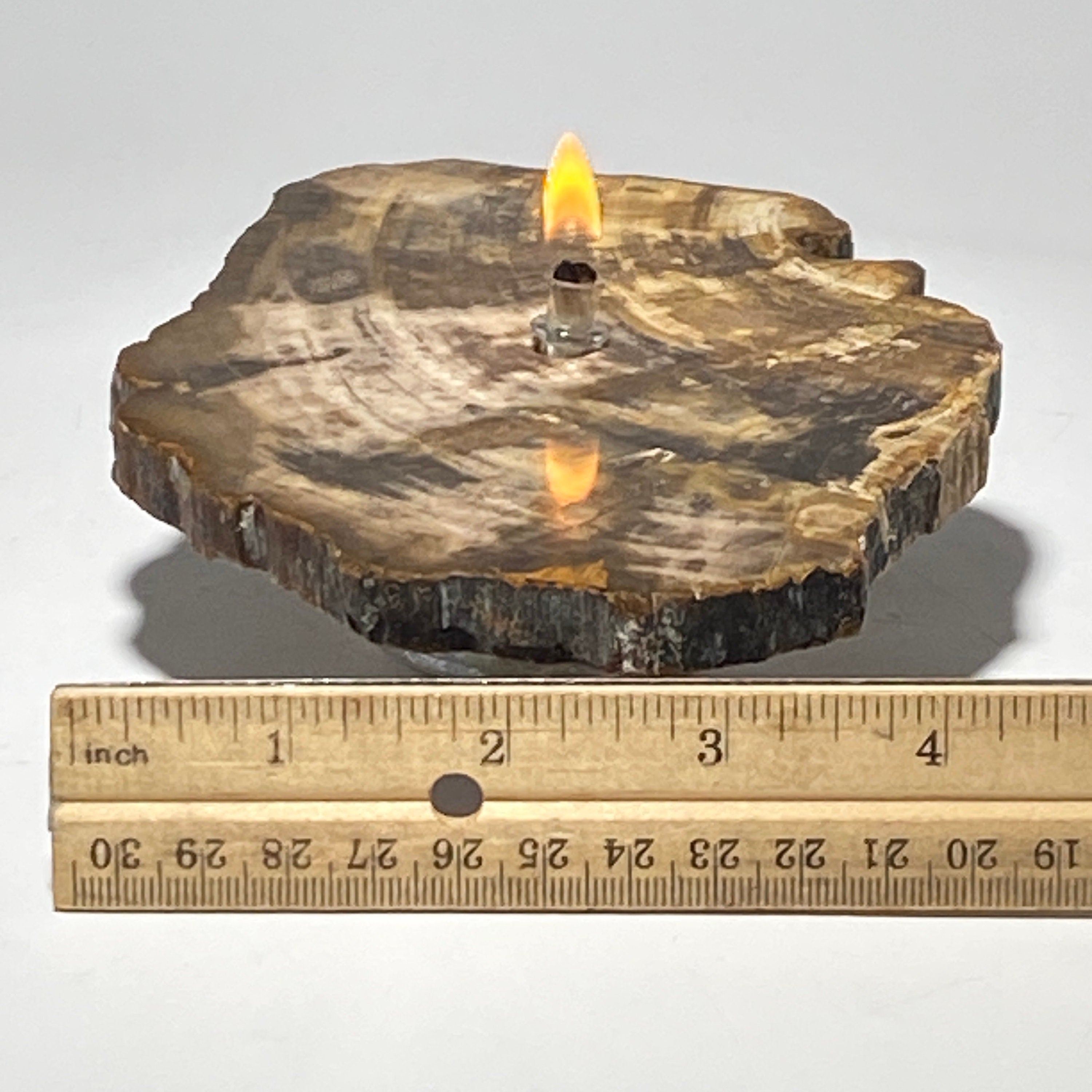 Petrified wood Rock Oil Lamp