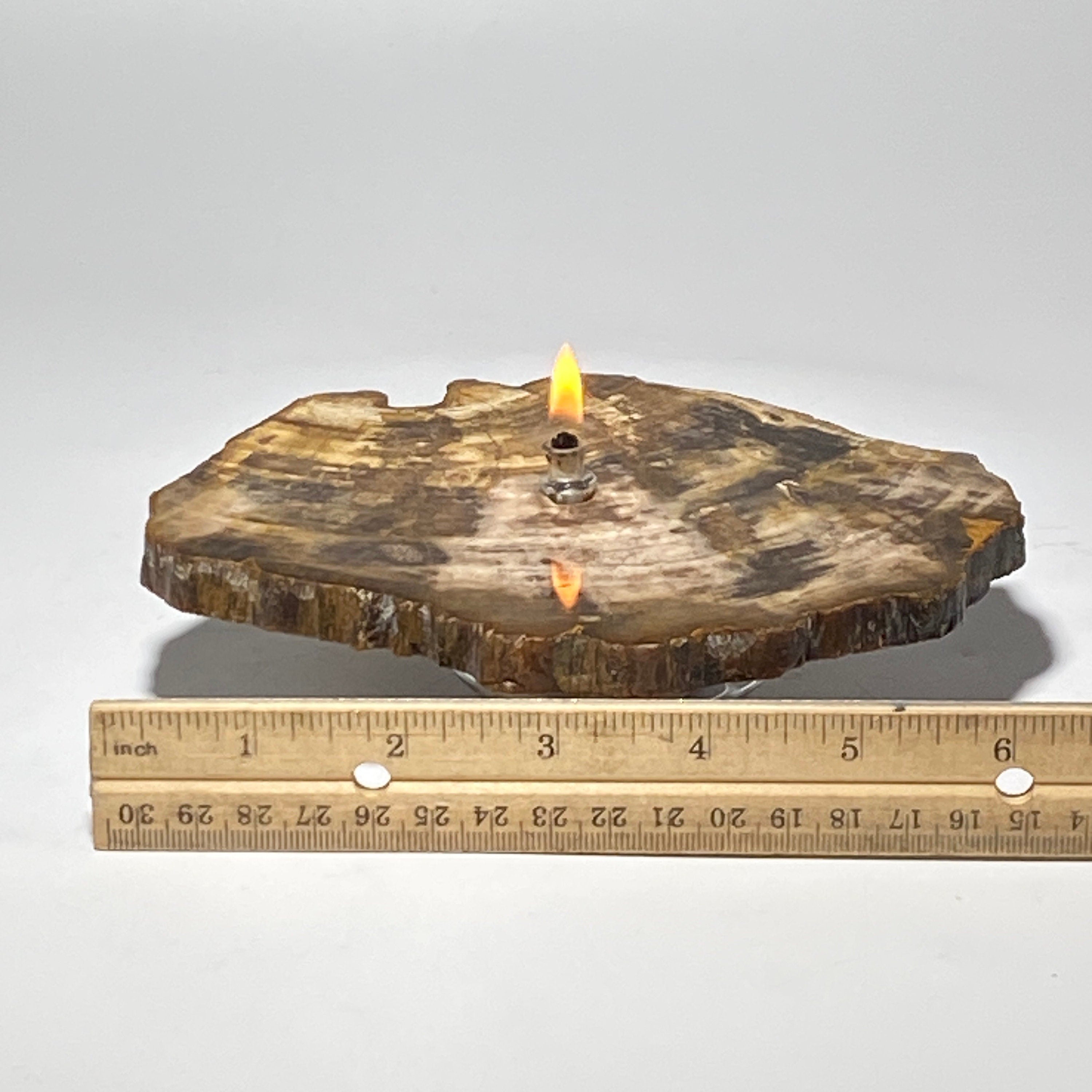 Petrified wood Rock Oil Lamp