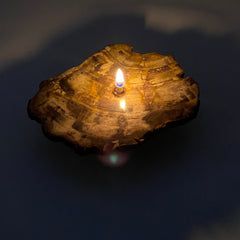 Rock Candle gift box - Petrified Wood