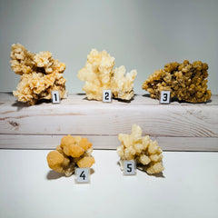 [shopname] - Raw Aragonite Crystal, rock decor