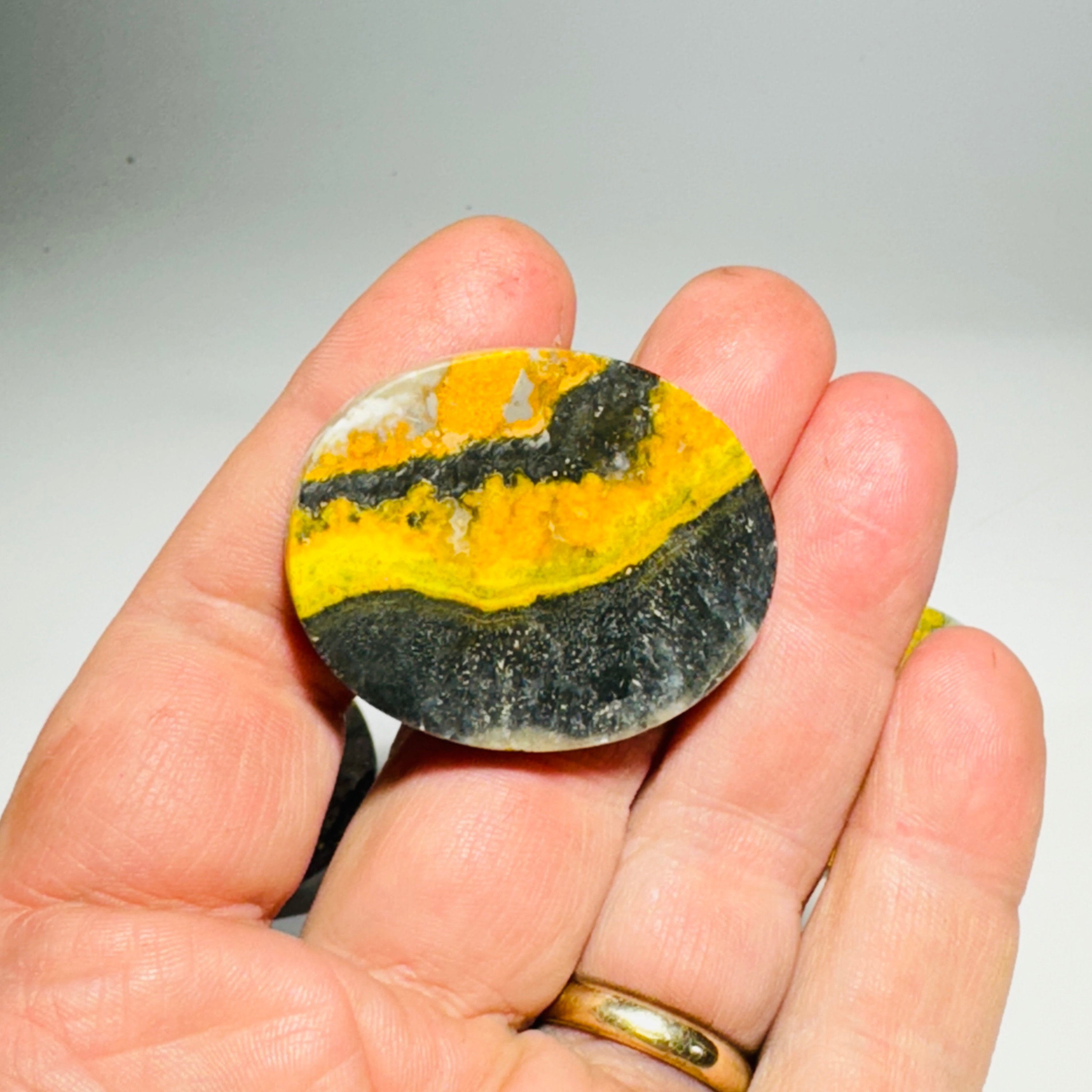 Cabinet knobs - Dark bumblebee Jasper