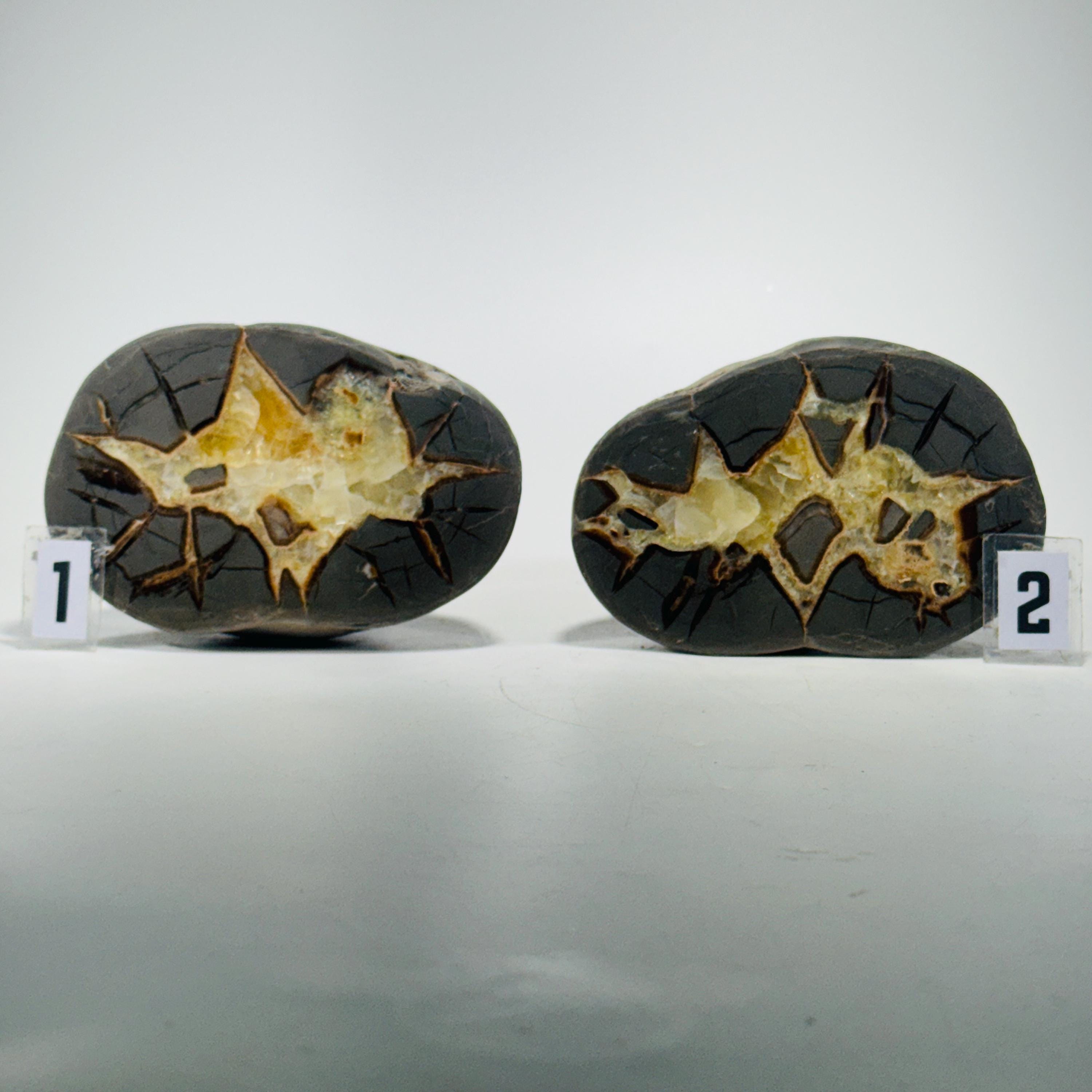 Septarian Nodule geode end-cut