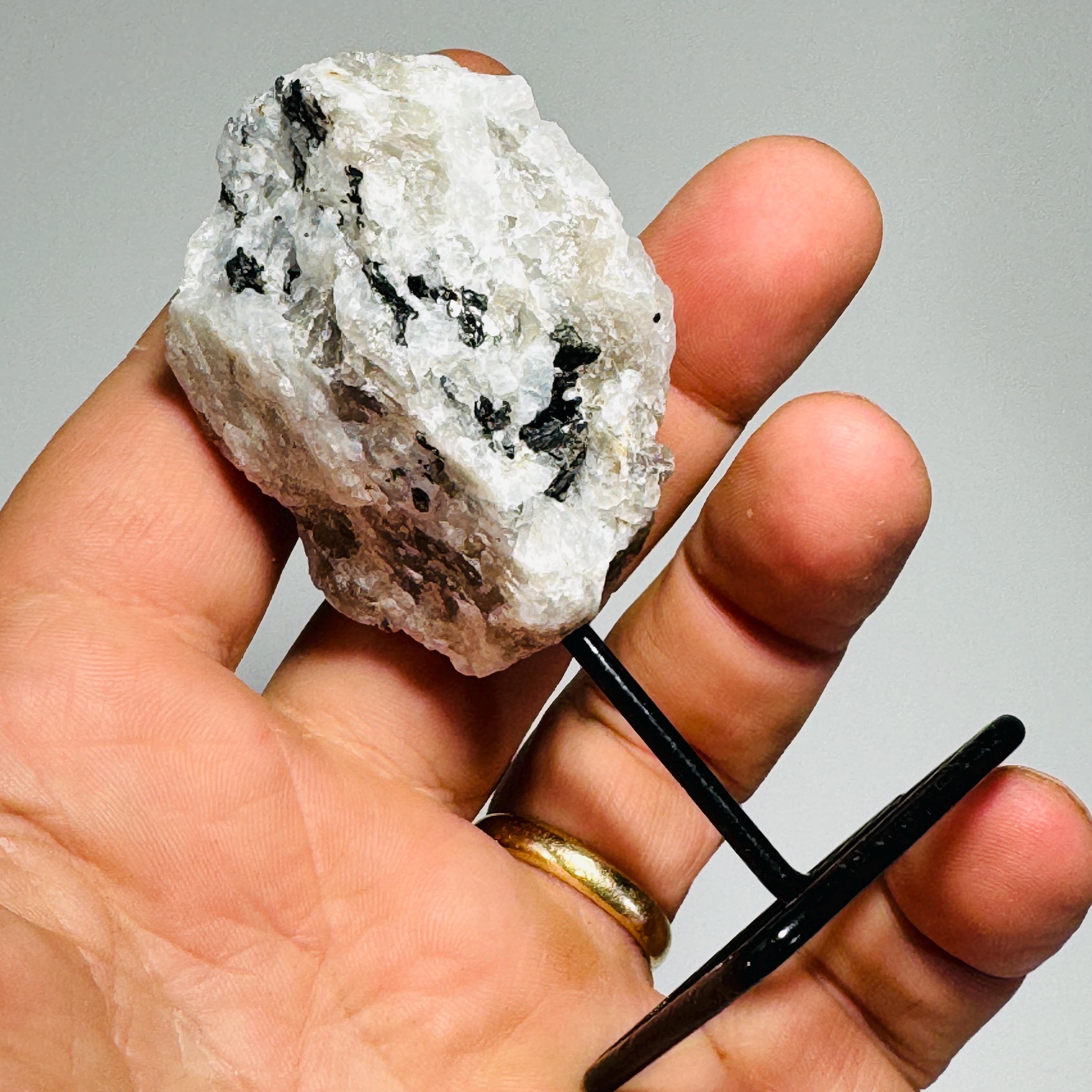 Mineral Specimens on a metal stand