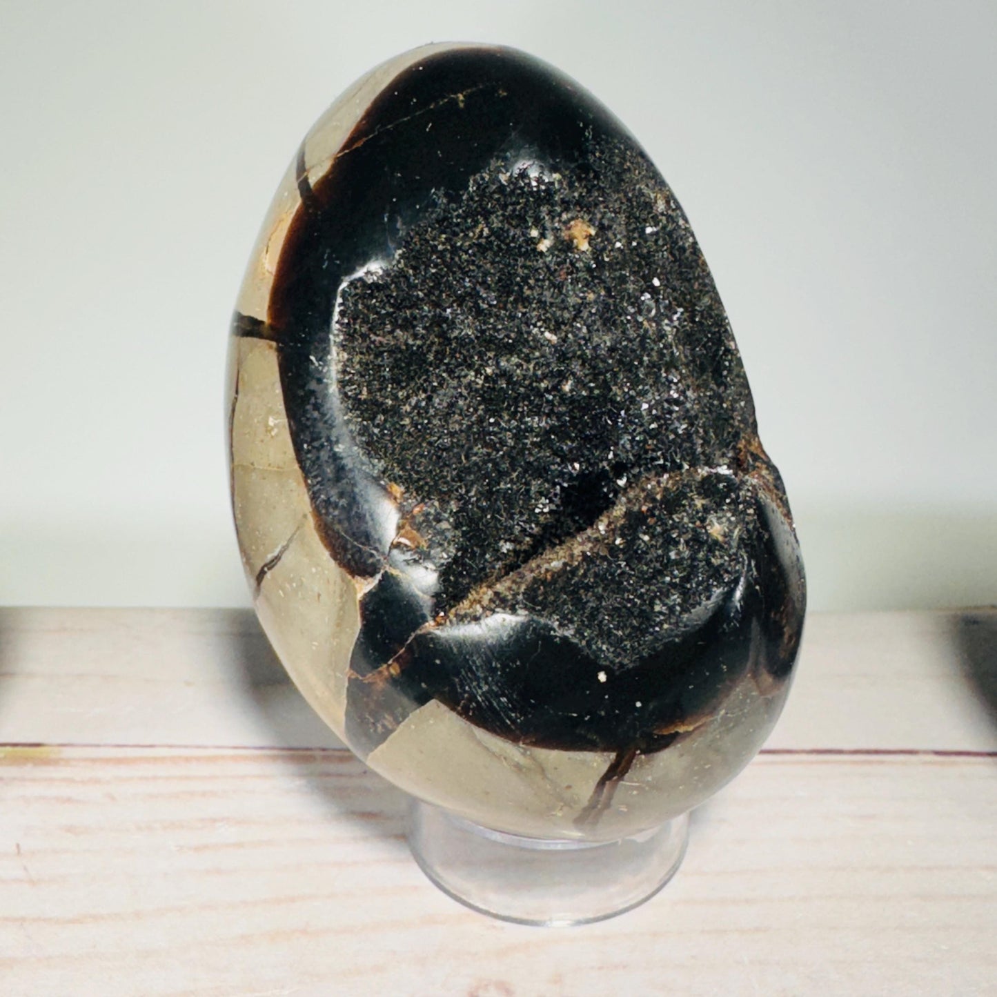[shopname] - Dragons Egg Septarian Nodule, rock decor