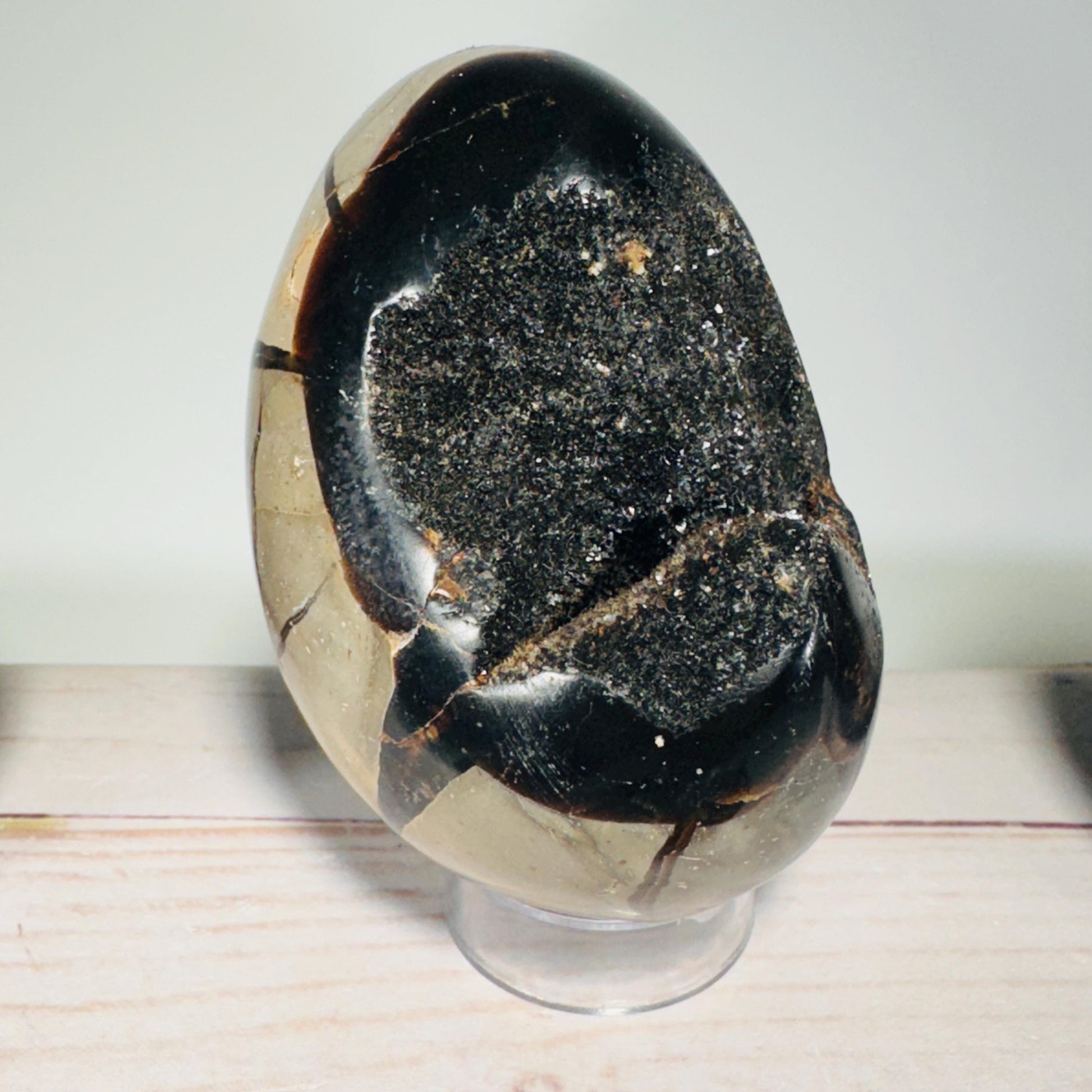 [shopname] - Dragons Egg Septarian Nodule, rock decor