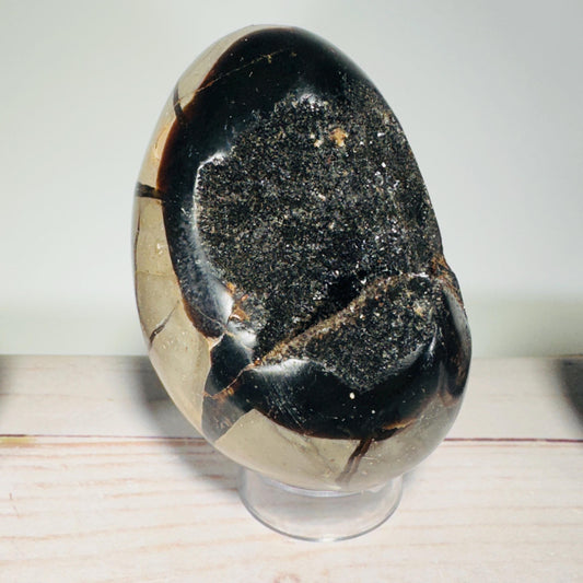 [shopname] - Dragons Egg Septarian Nodule, rock decor