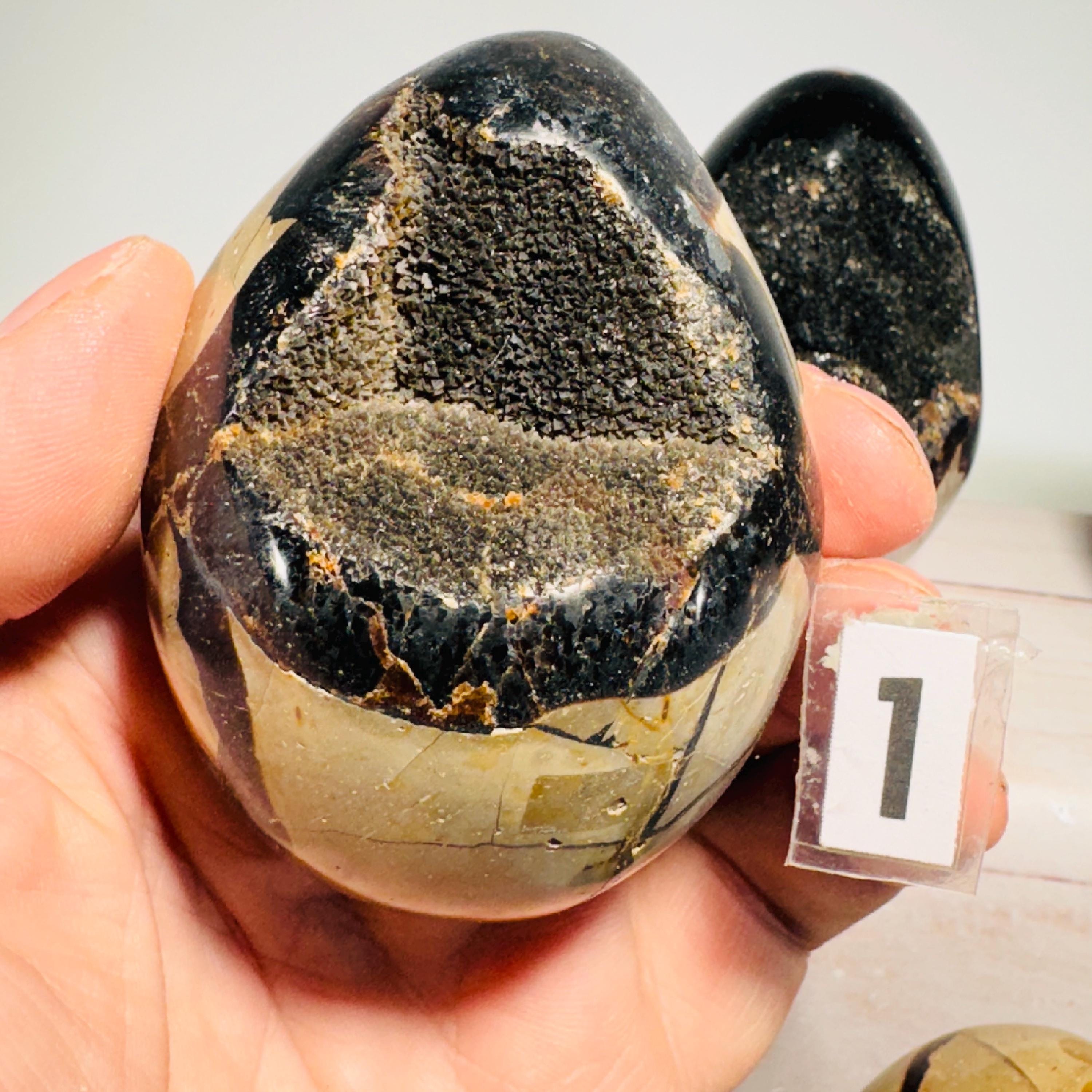 [shopname] - Dragons Egg Septarian Nodule, rock decor