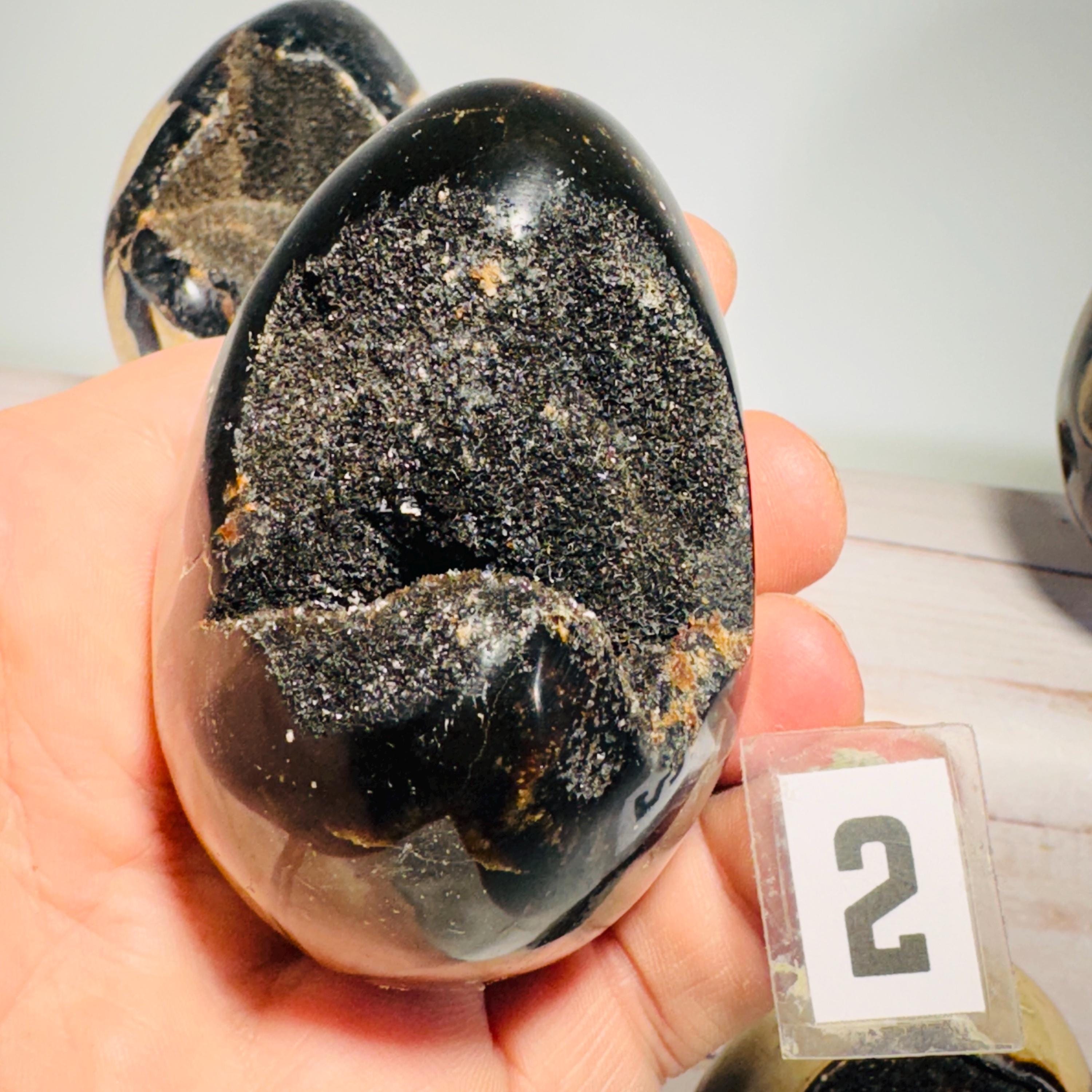 [shopname] - Dragons Egg Septarian Nodule, rock decor