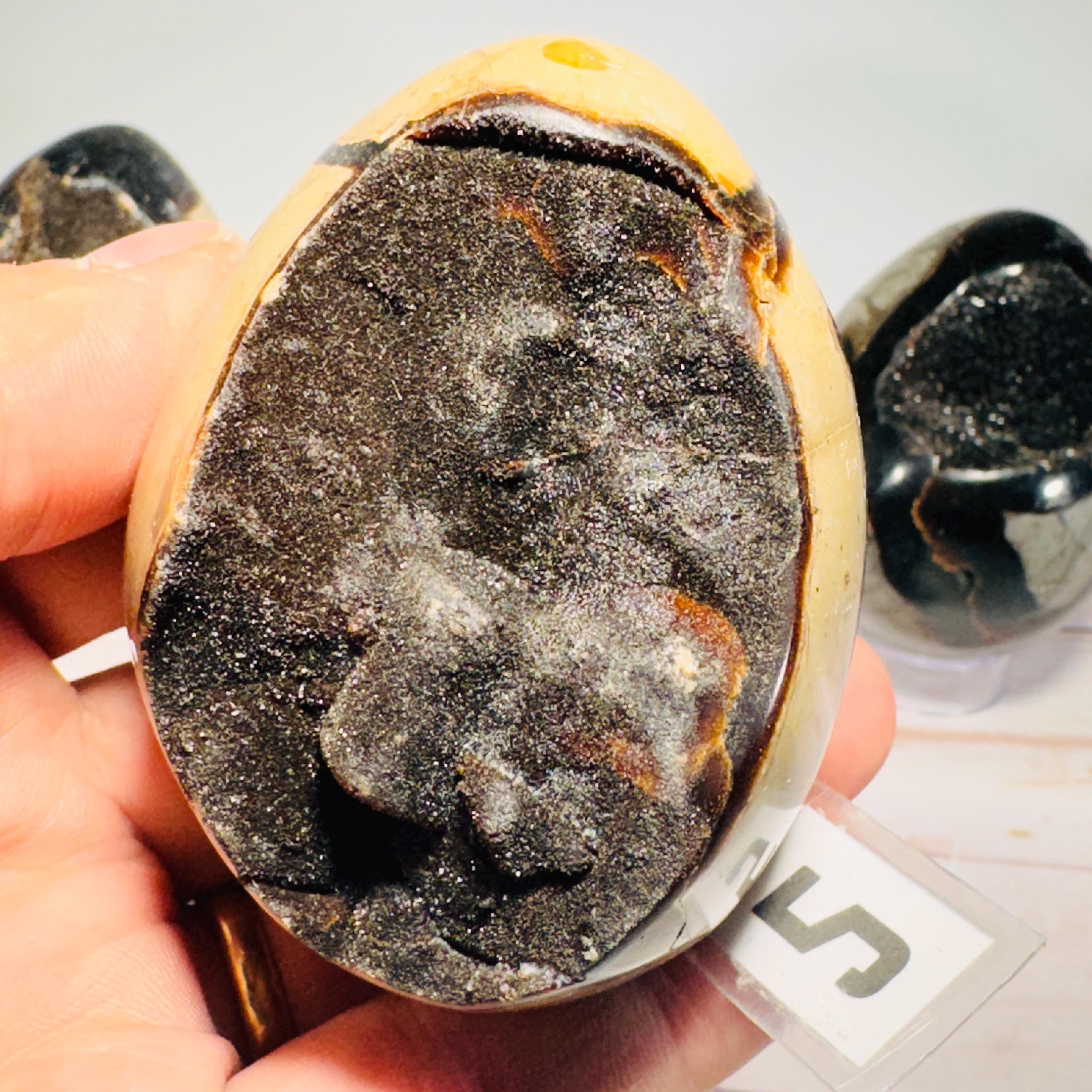 [shopname] - Dragons Egg Septarian Nodule, rock decor