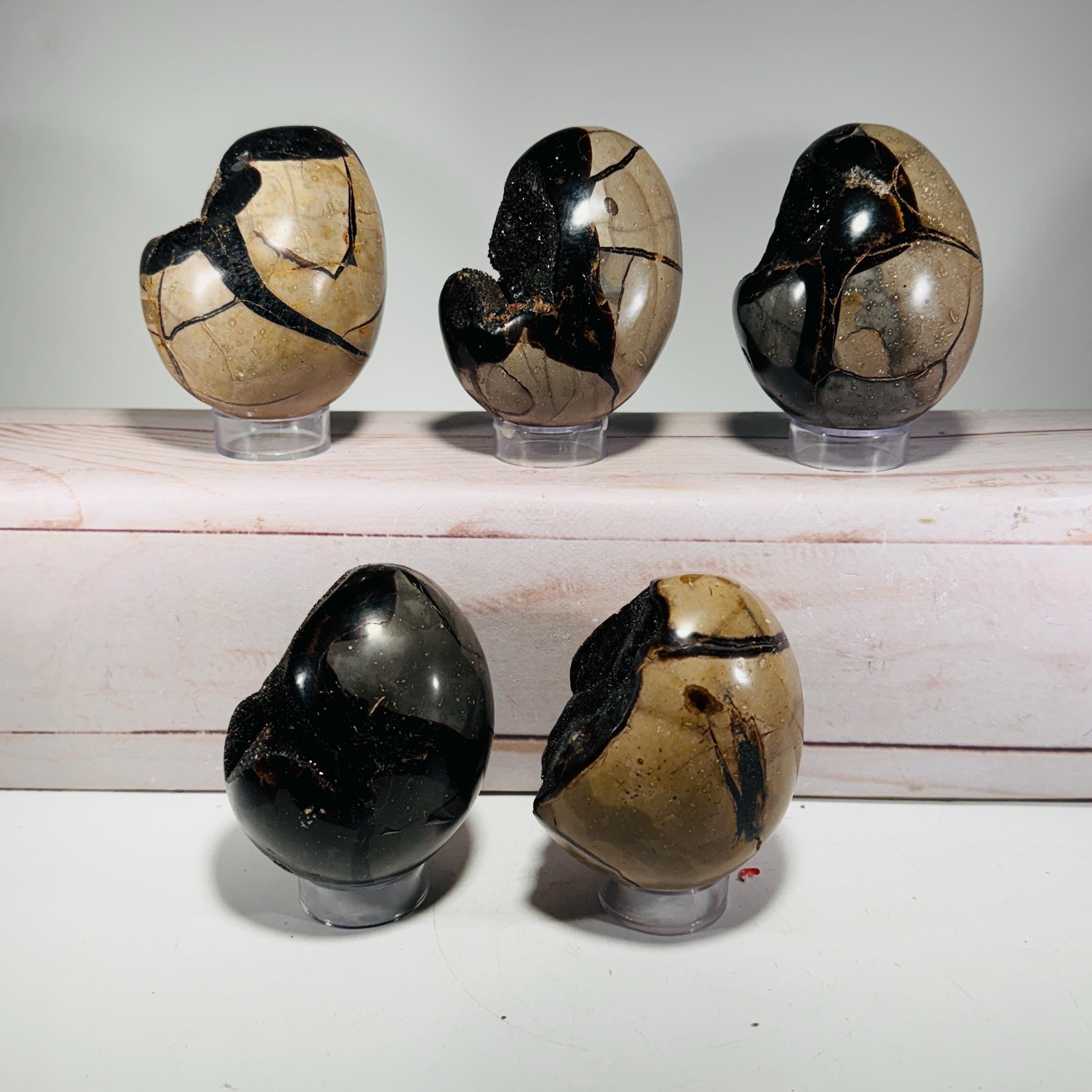 [shopname] - Dragons Egg Septarian Nodule, rock decor