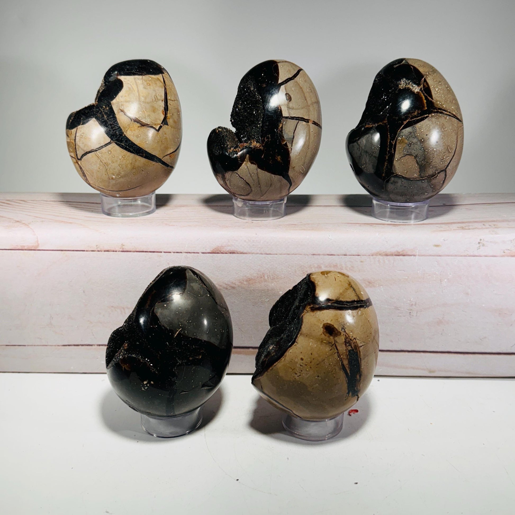 [shopname] - Dragons Egg Septarian Nodule, rock decor