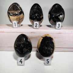 [shopname] - Dragons Egg Septarian Nodule, rock decor