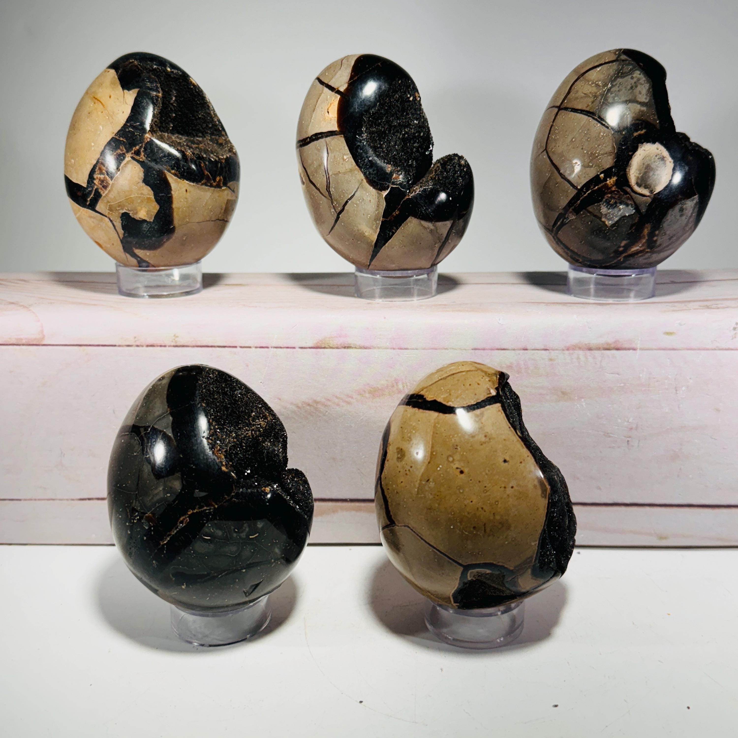 [shopname] - Dragons Egg Septarian Nodule, rock decor