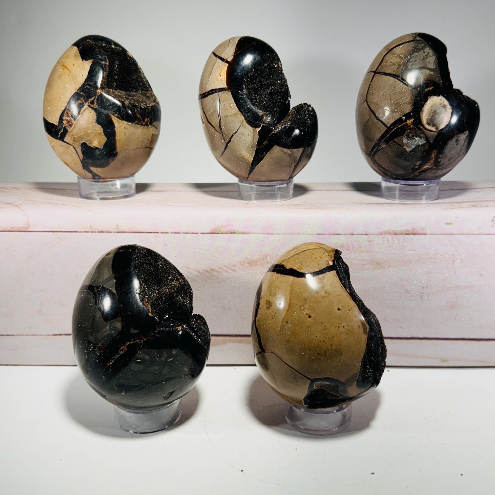 [shopname] - Dragons Egg Septarian Nodule, rock decor