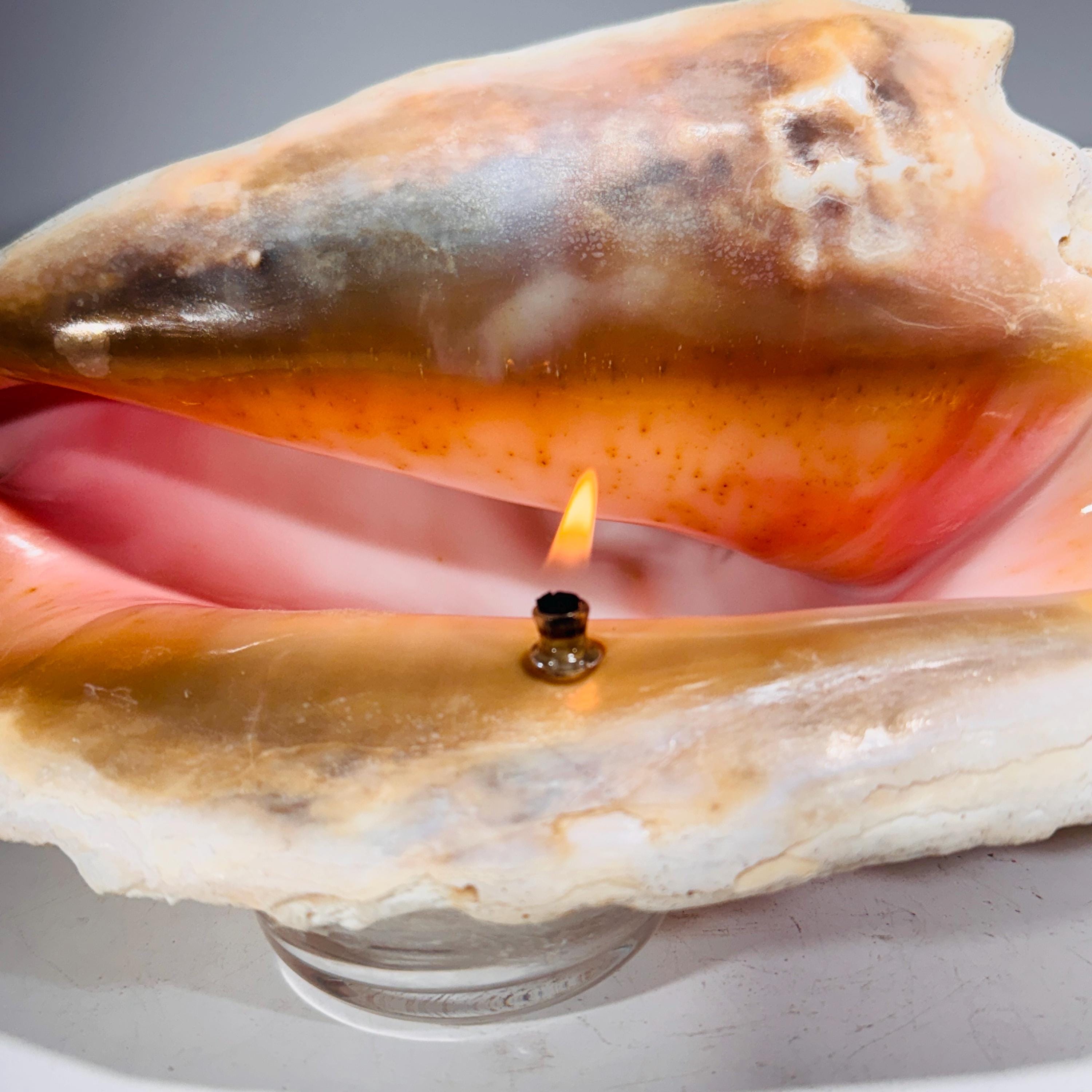 Rock Candle - Conch Shell | unique, one-of-a-kind seashore decor, Agate oil lamp, unique home decor, shell, seashore or candle lover gift