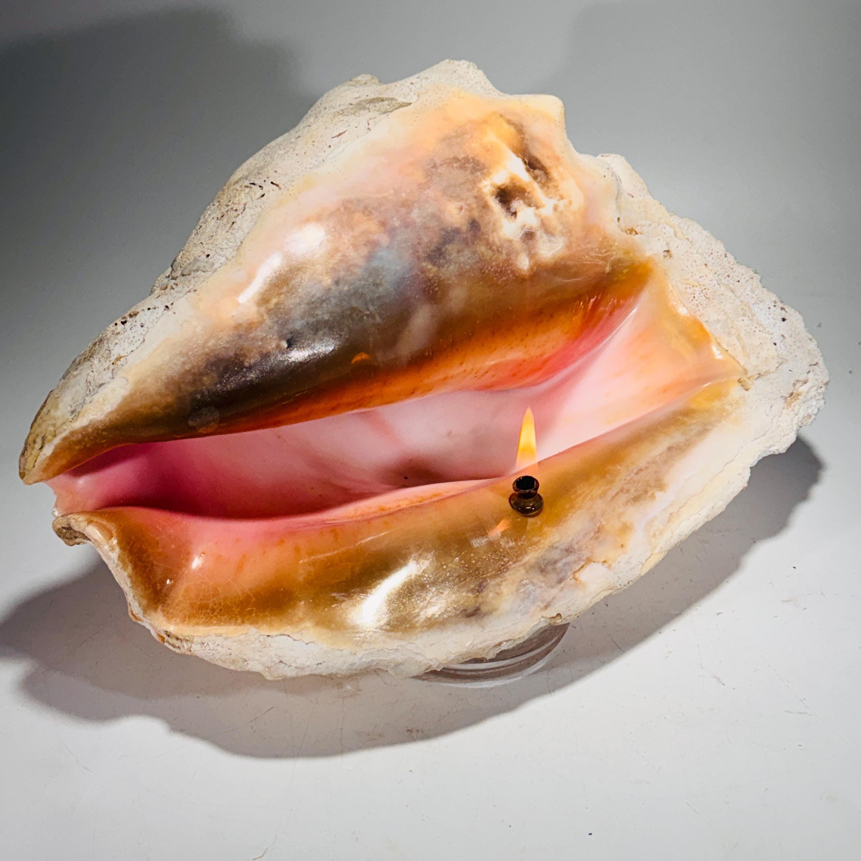 Rock Candle - Conch Shell | unique, one-of-a-kind seashore decor, Agate oil lamp, unique home decor, shell, seashore or candle lover gift