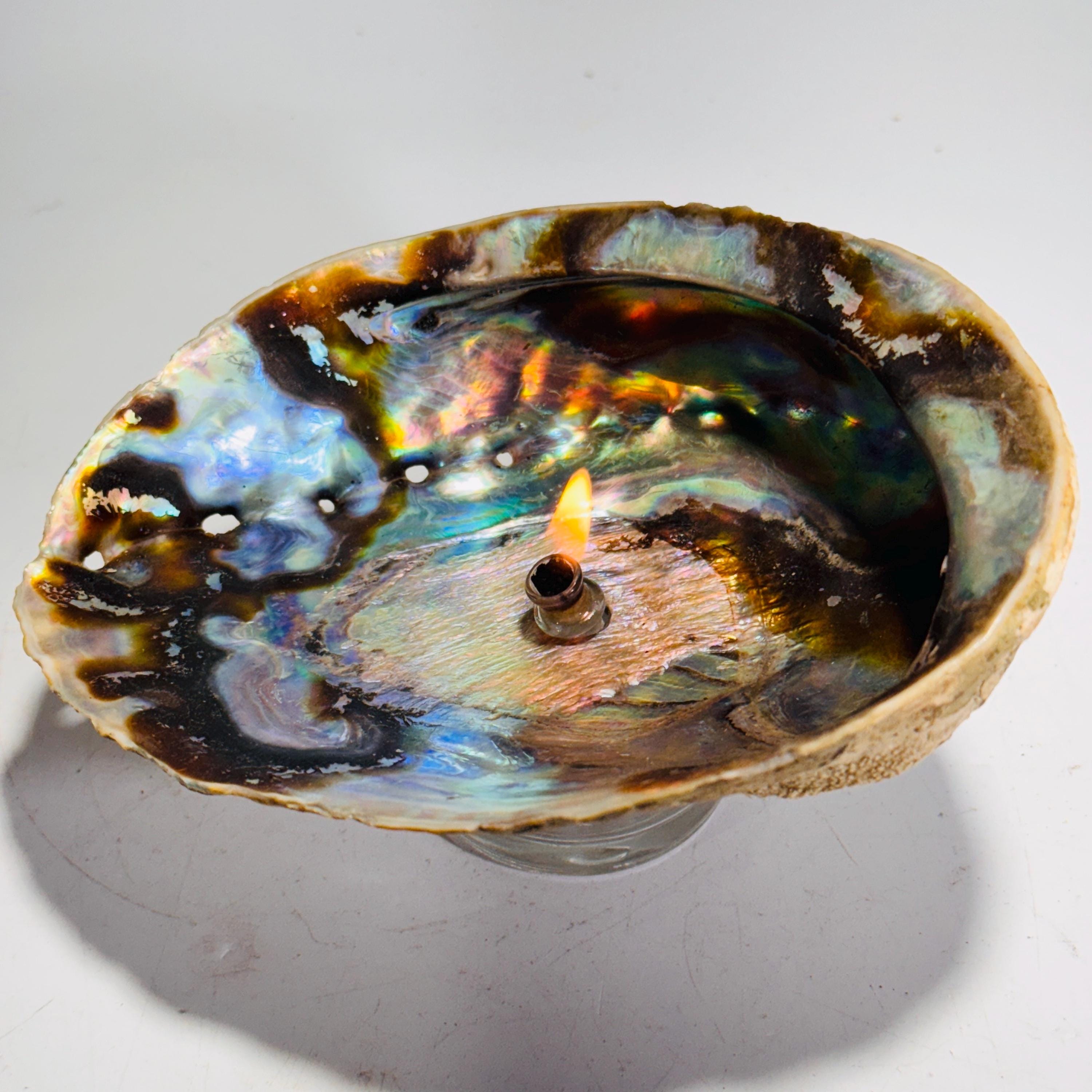 Rock Candle - Pāua Shell inside | amazing irridescent coloring, Agate oil lamp, unique home decor, shell, seashore or candle lover gift