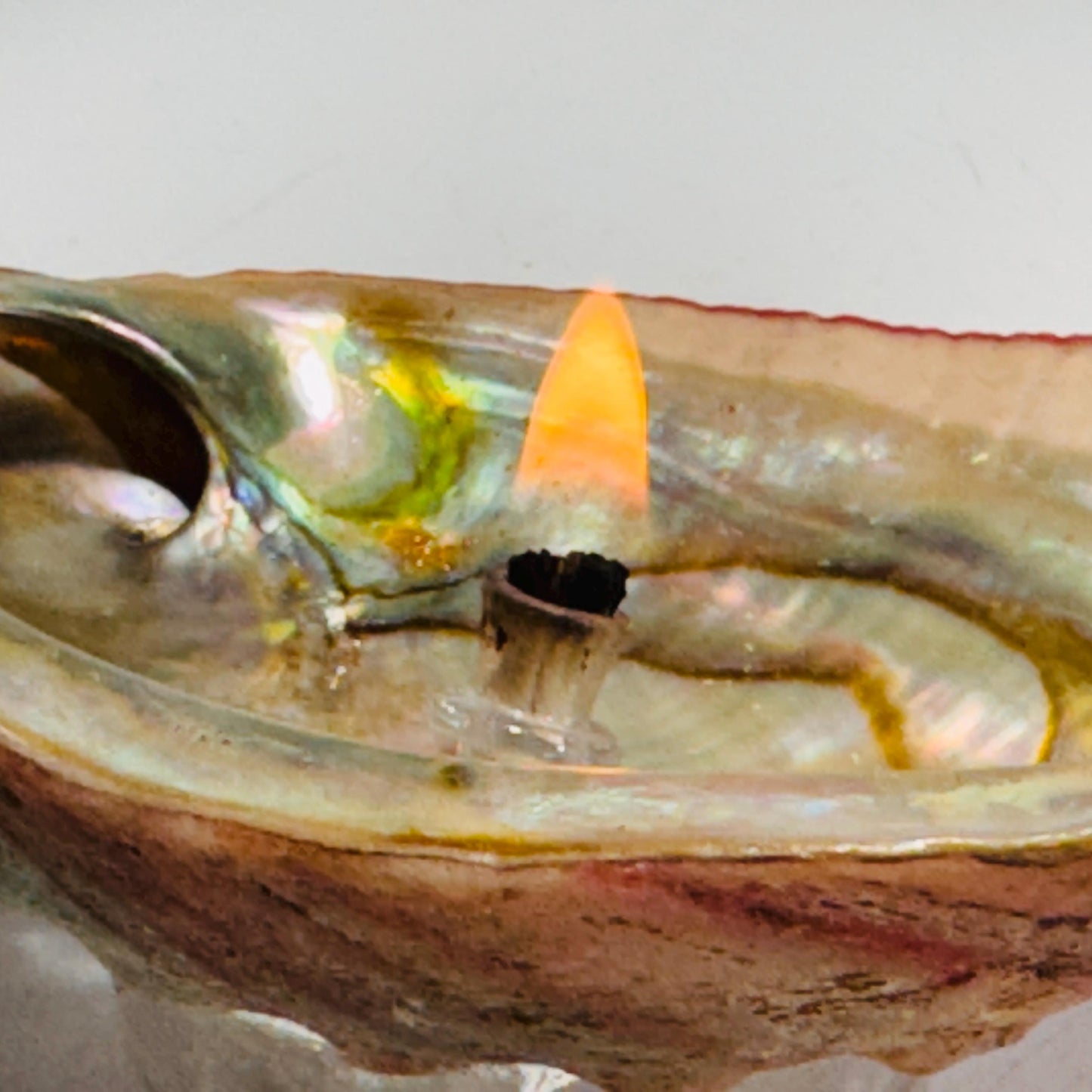 [shopname] - Rock Candle - Pink Abalone Shell, rock decor
