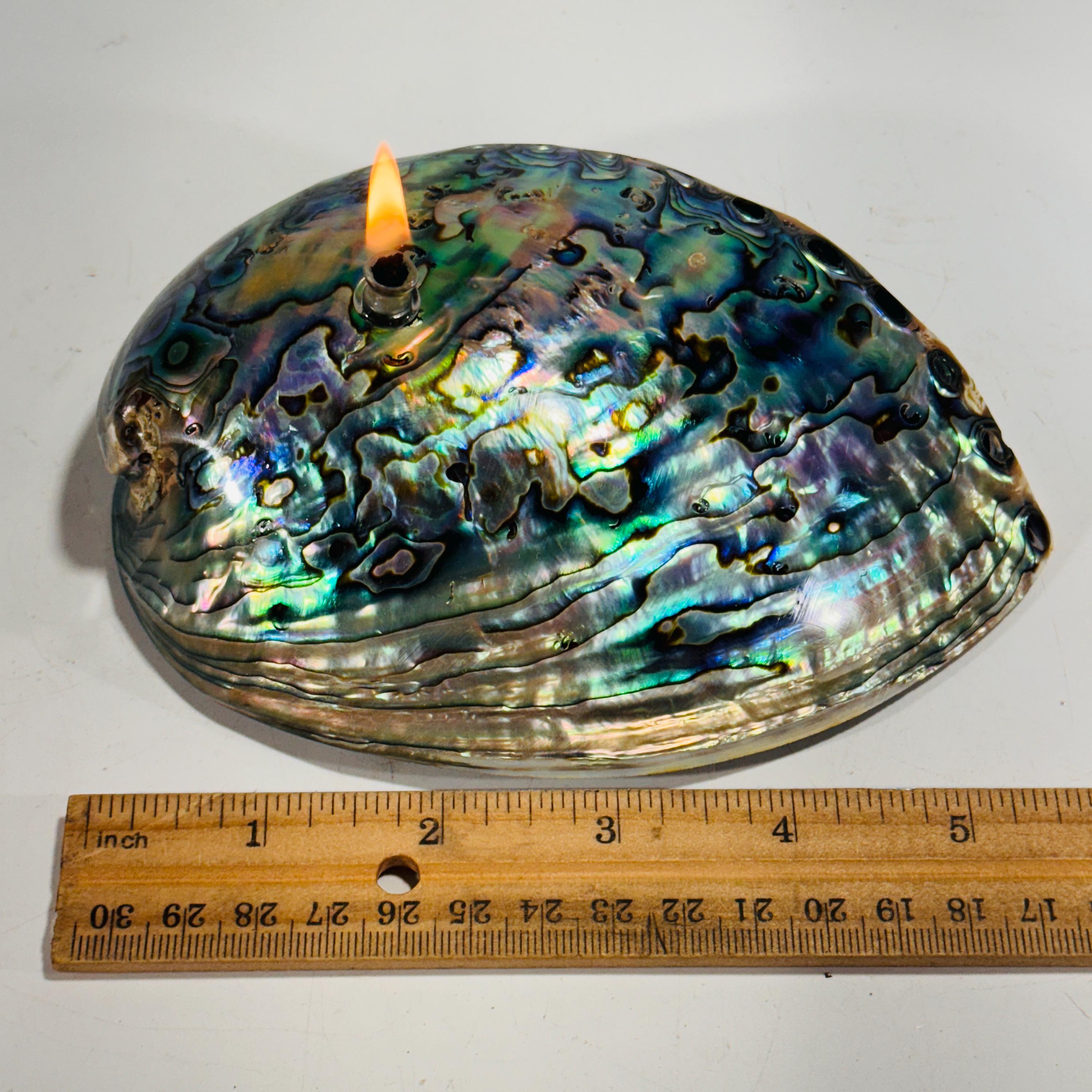 Rock Candle - Pāua Shell | amazing irridescent coloring, Agate oil lamp, unique home decor, shell, seashore or candle lover gift