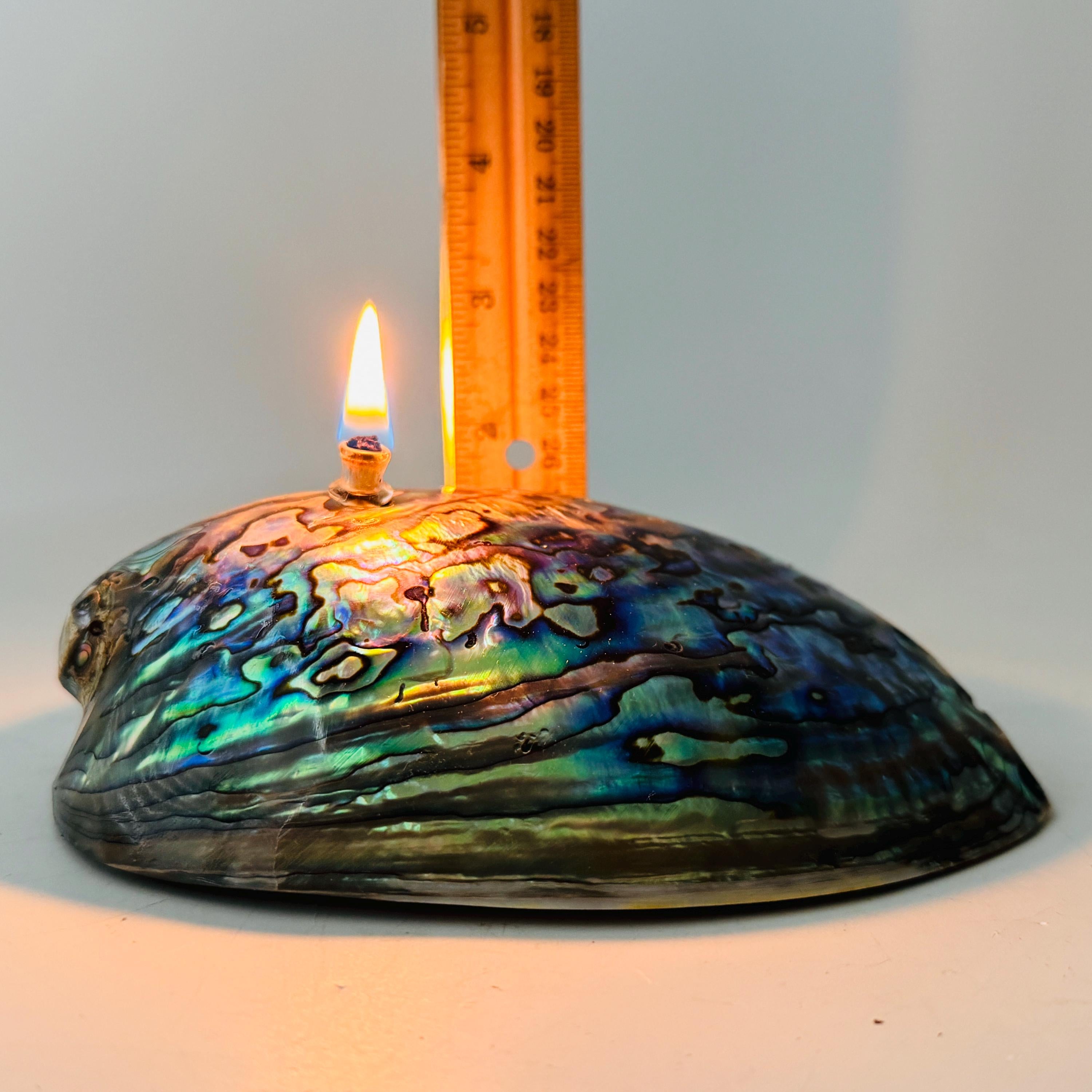 Rock Candle - Pāua Shell | amazing irridescent coloring, Agate oil lamp, unique home decor, shell, seashore or candle lover gift