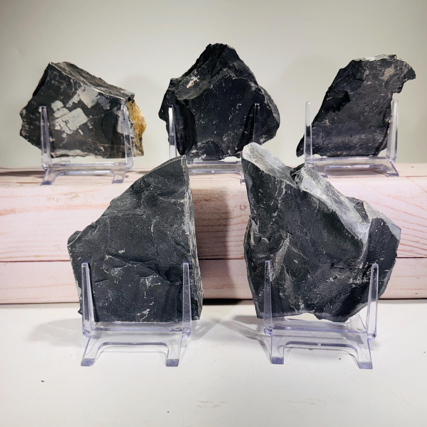 [shopname] - Partial trilobite fossils in Utah shale, rock decor