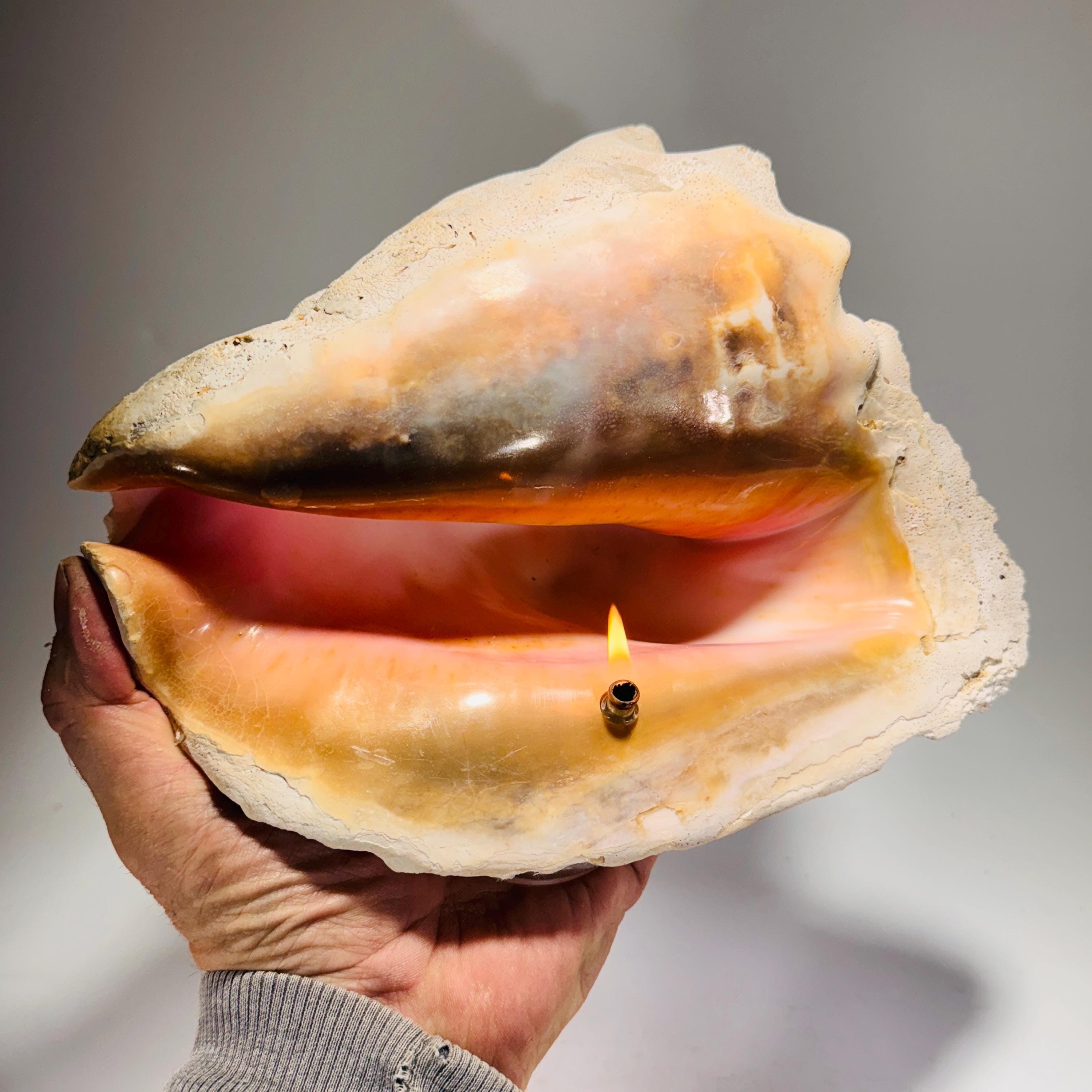 Rock Candle - Conch Shell | unique, one-of-a-kind seashore decor, Agate oil lamp, unique home decor, shell, seashore or candle lover gift