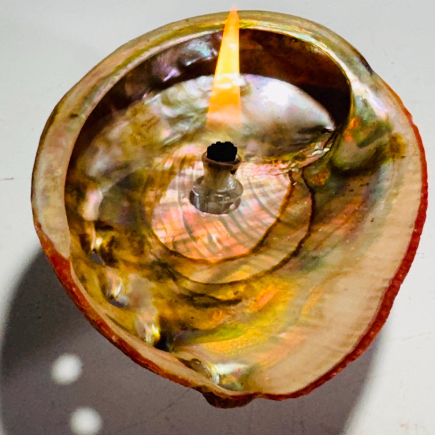 [shopname] - Rock Candle - Pink Abalone Shell, rock decor