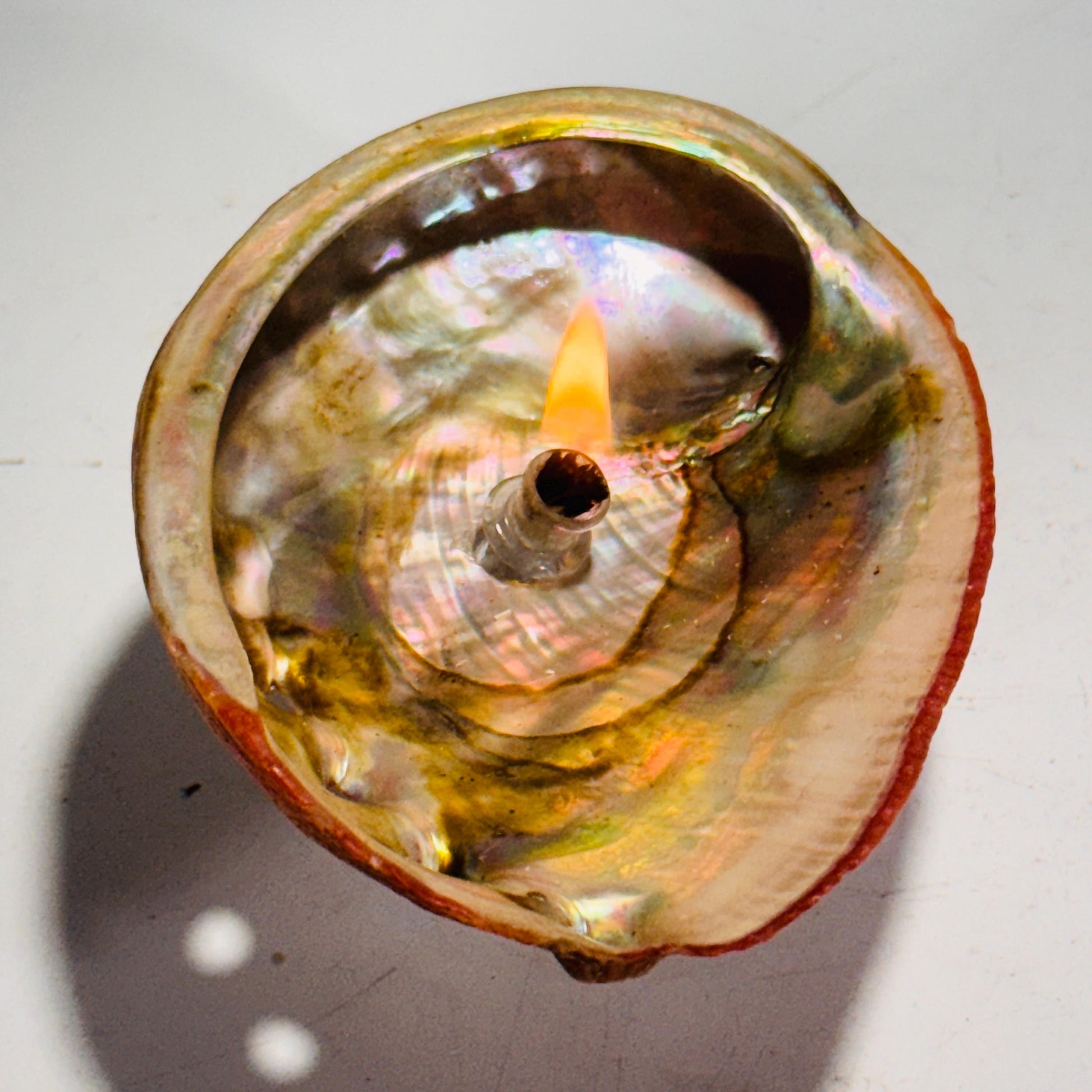 [shopname] - Rock Candle - Pink Abalone Shell, rock decor