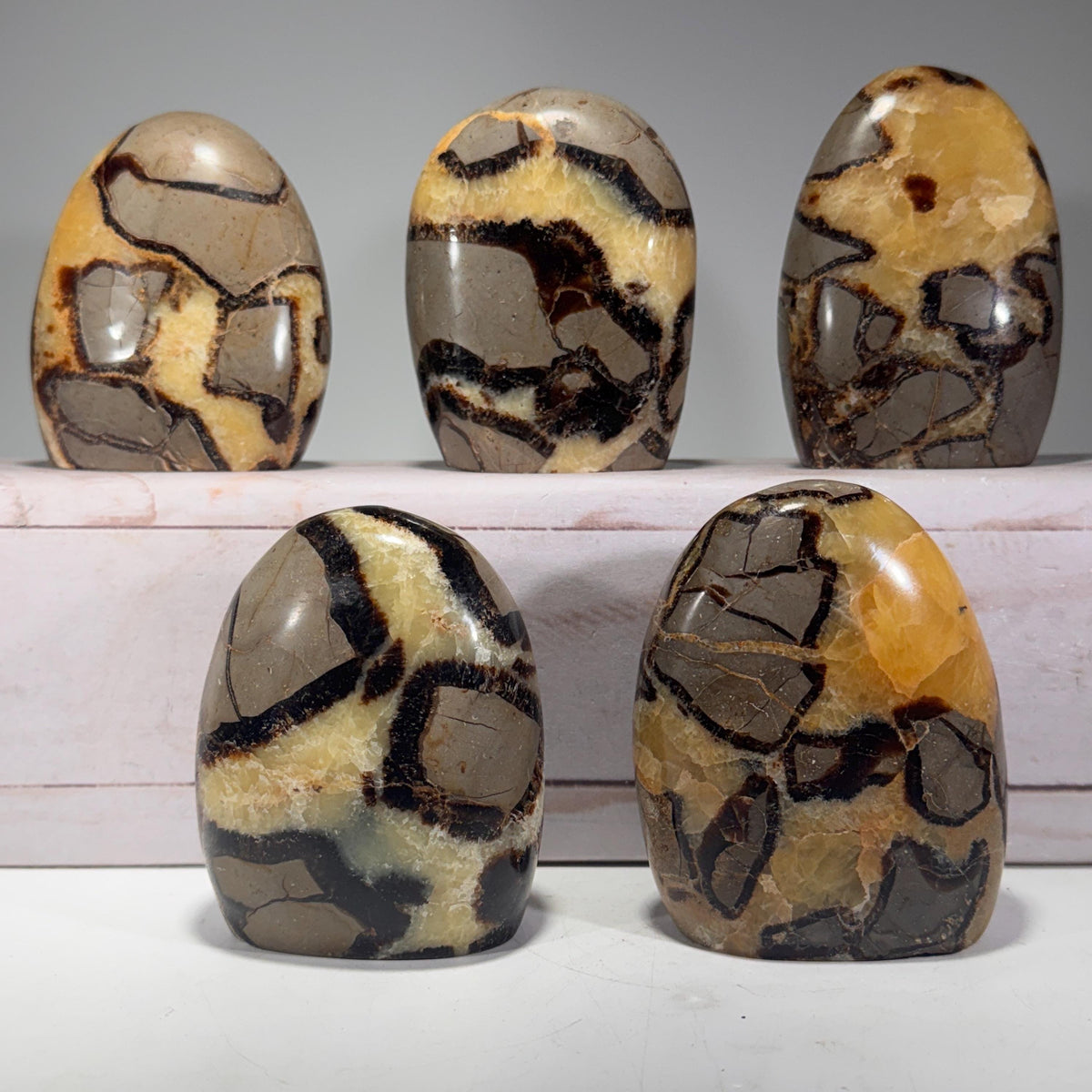 [shopname] - Septarian Nodule freeform, rock decor