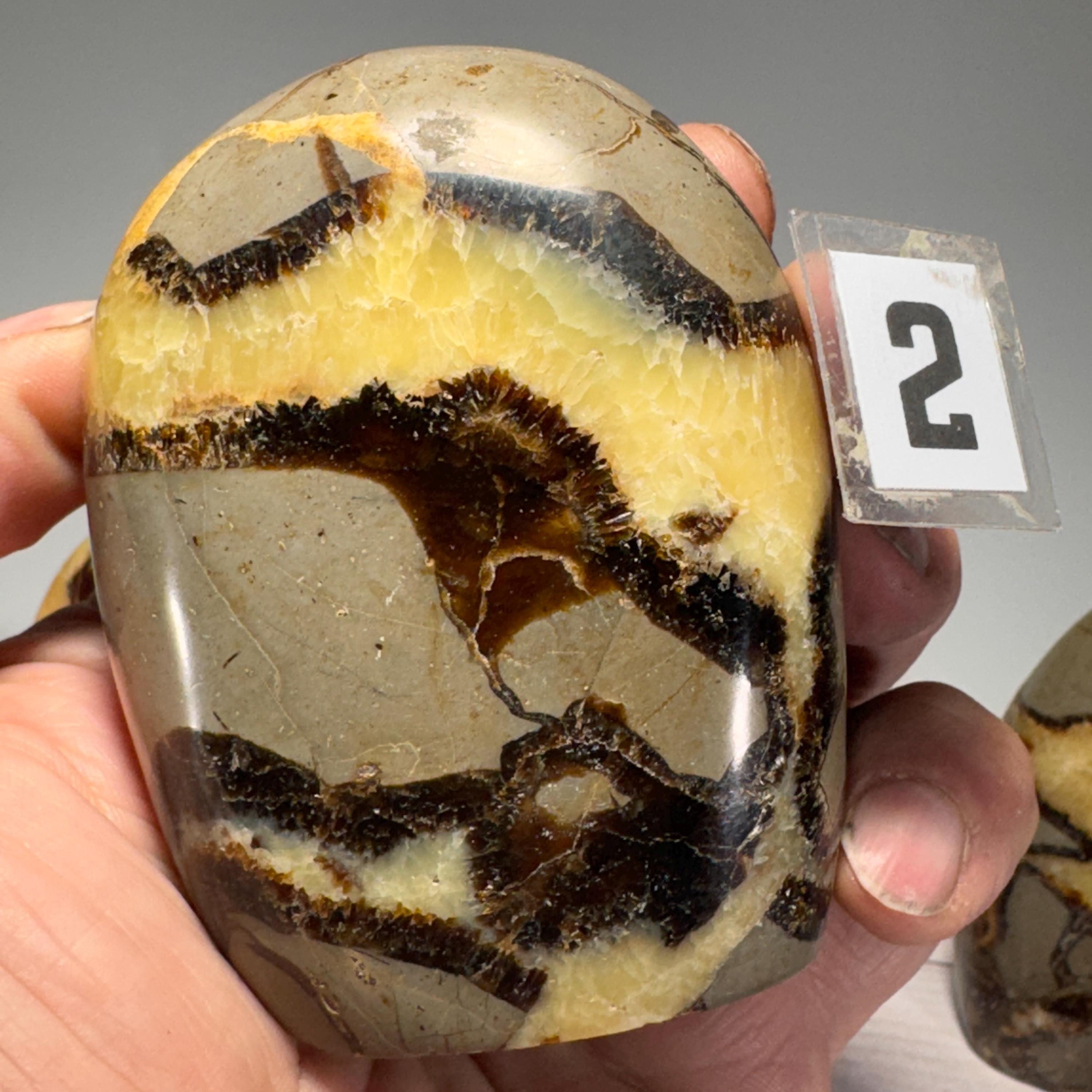 [shopname] - Septarian Nodule freeform, rock decor