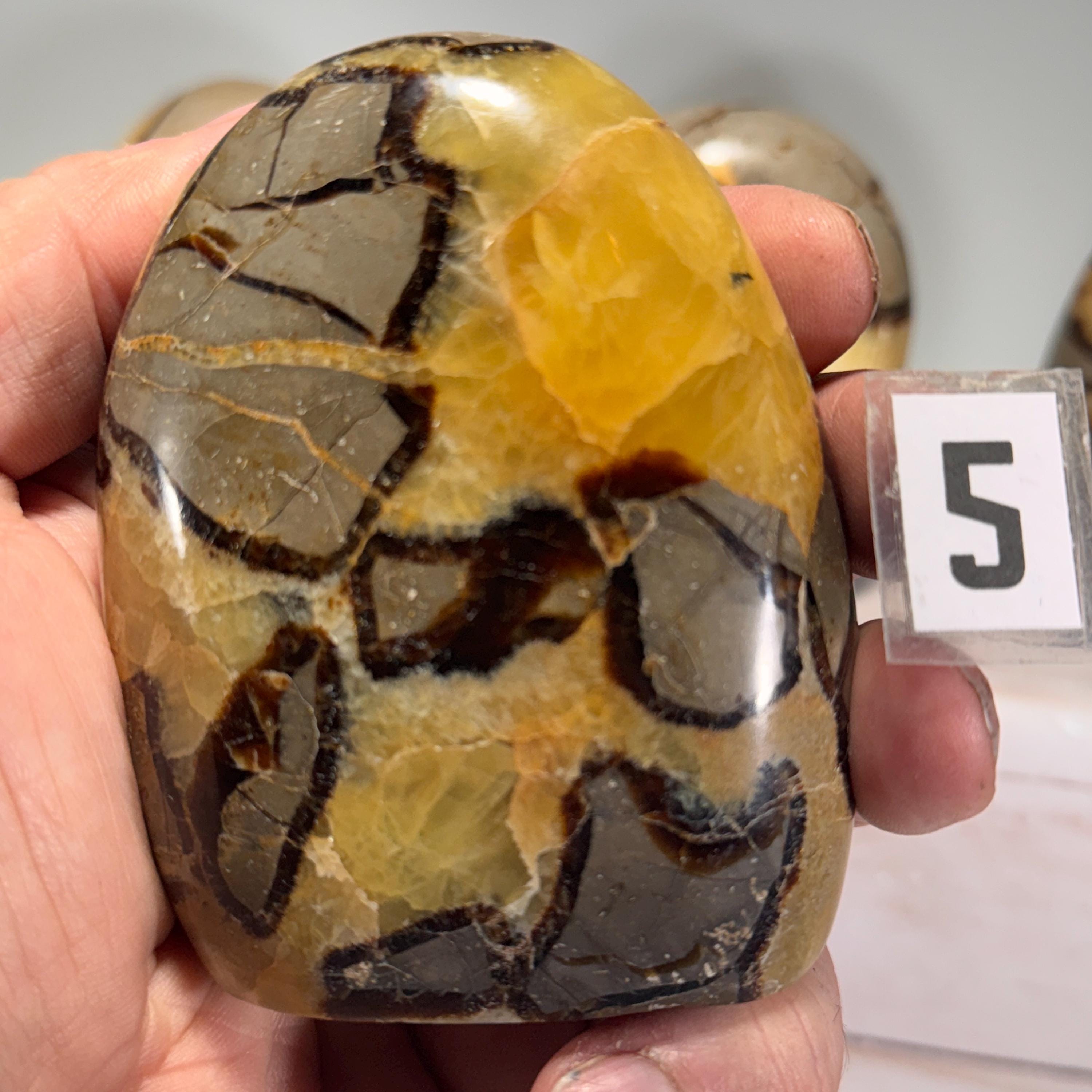 [shopname] - Septarian Nodule freeform, rock decor