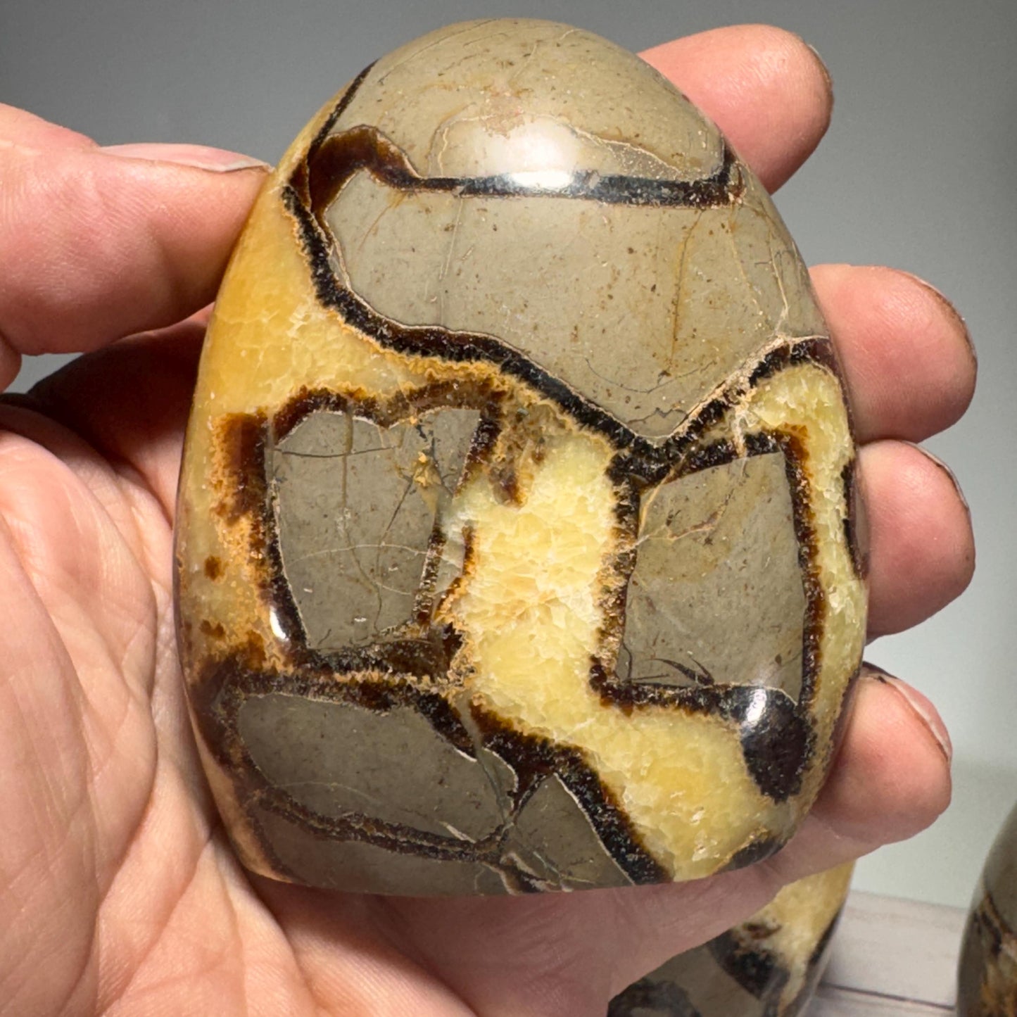 Roccia Roba - Septarian Nodule freeform, rock decor