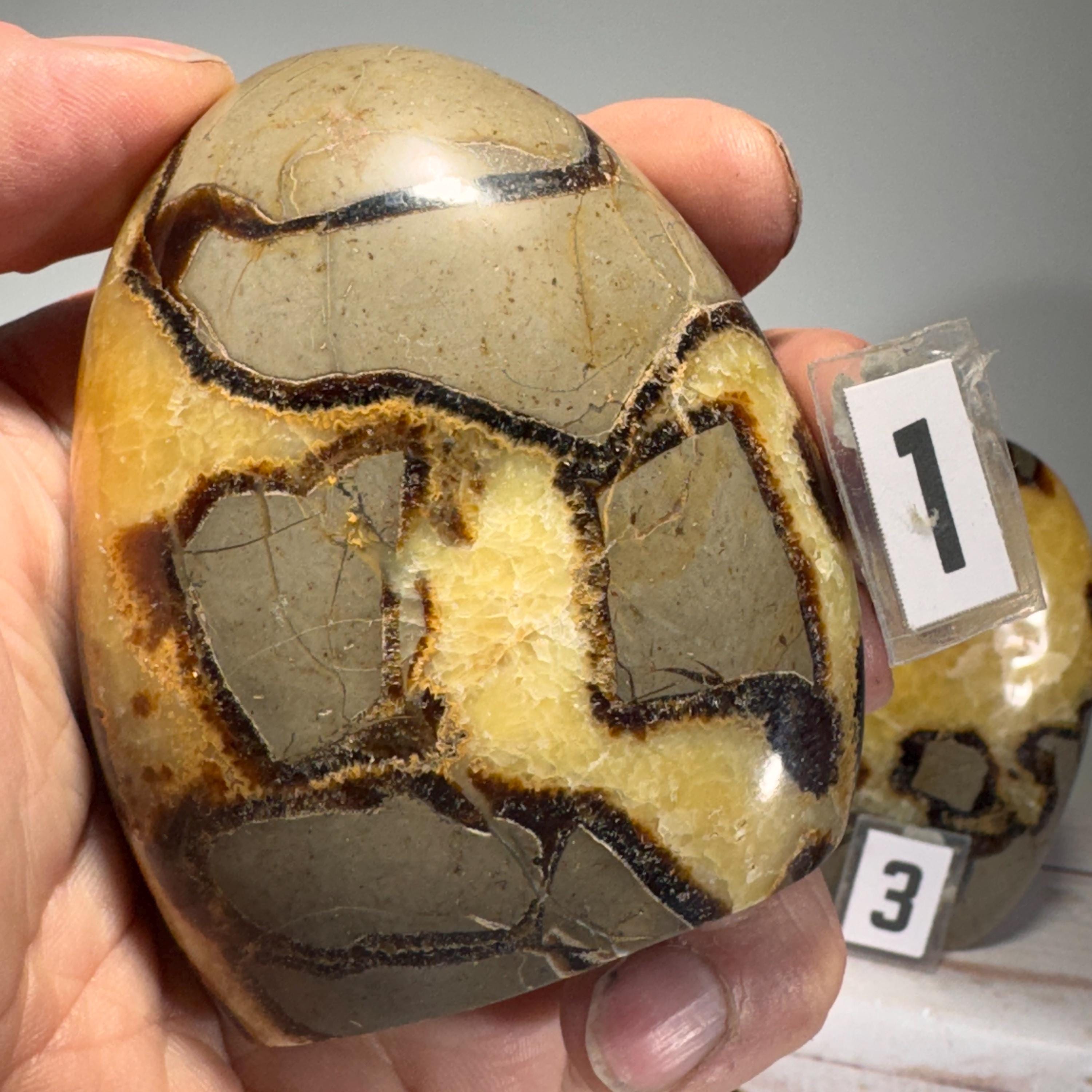 [shopname] - Septarian Nodule freeform, rock decor