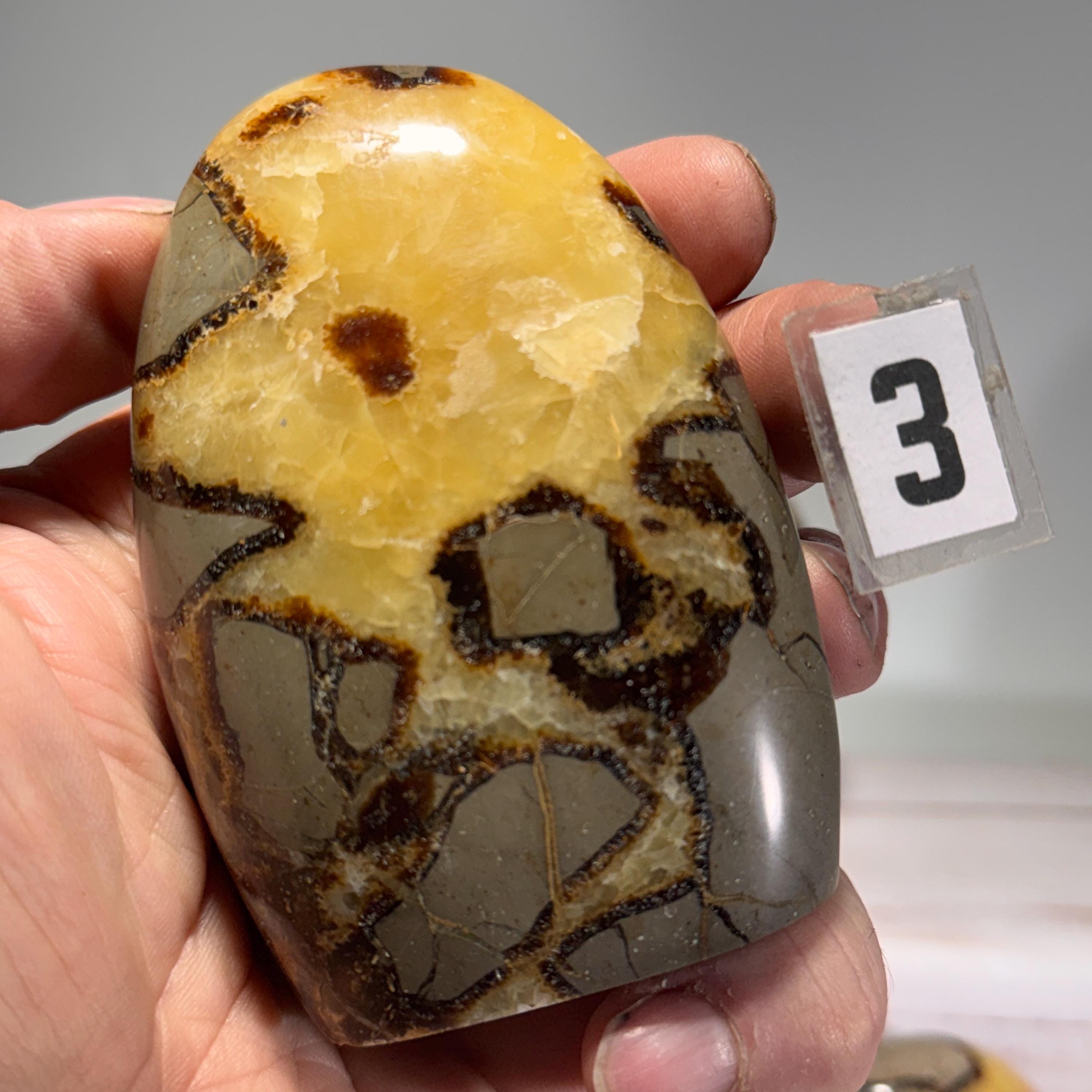 [shopname] - Septarian Nodule freeform, rock decor