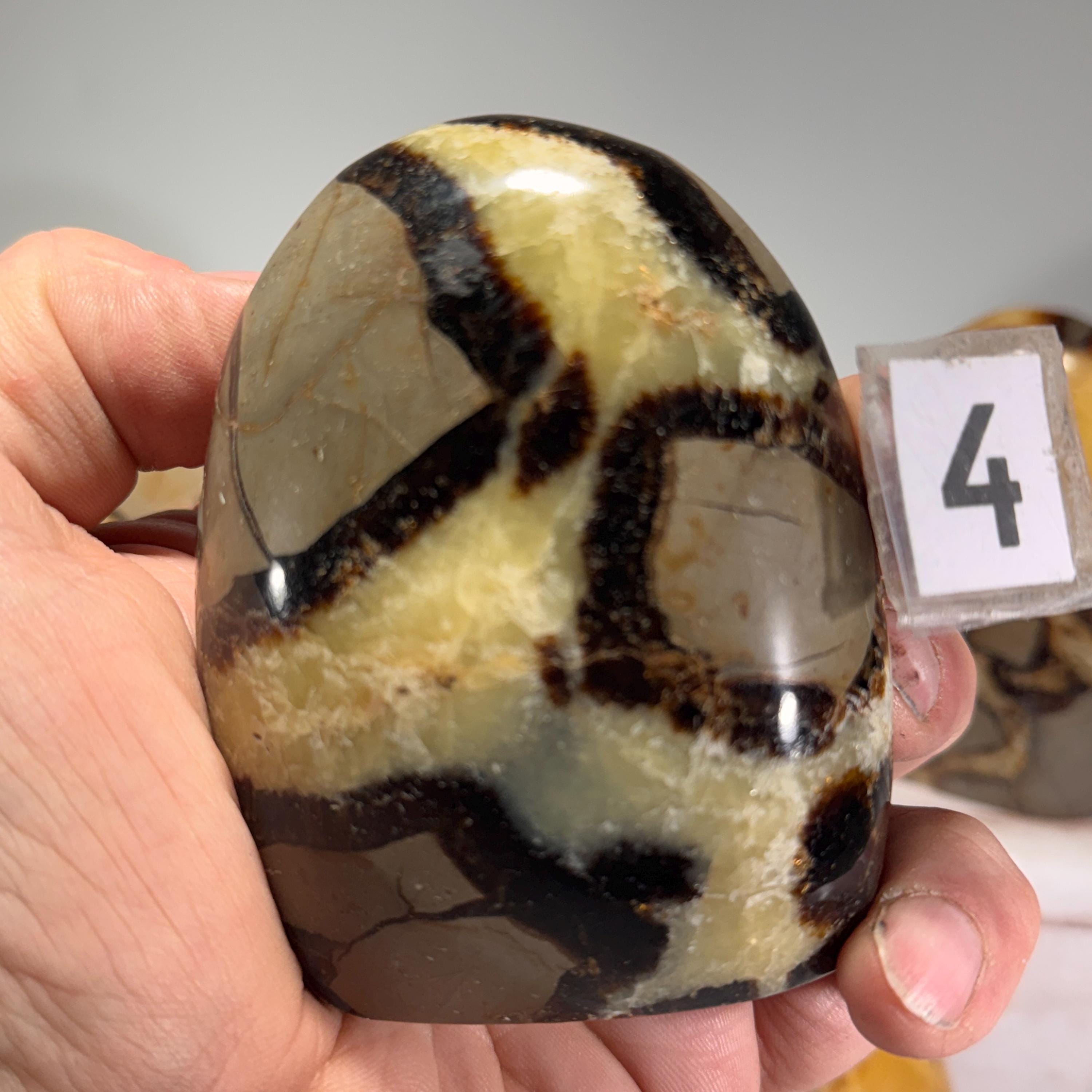 [shopname] - Septarian Nodule freeform, rock decor