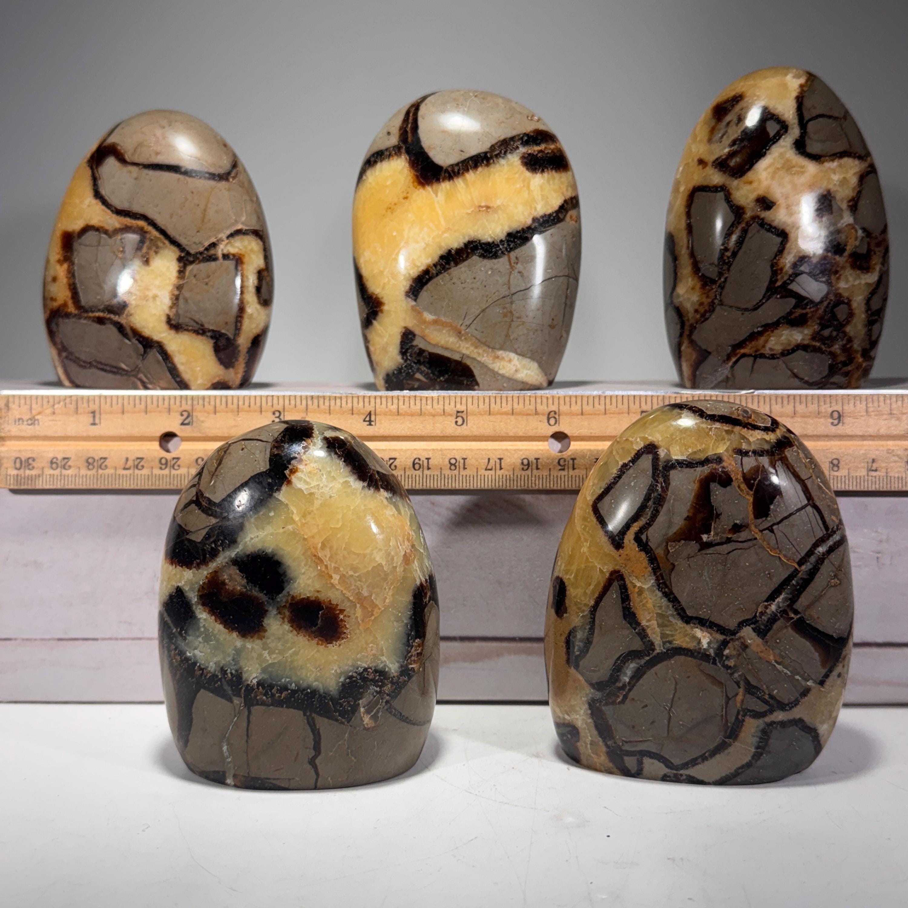 [shopname] - Septarian Nodule freeform, rock decor
