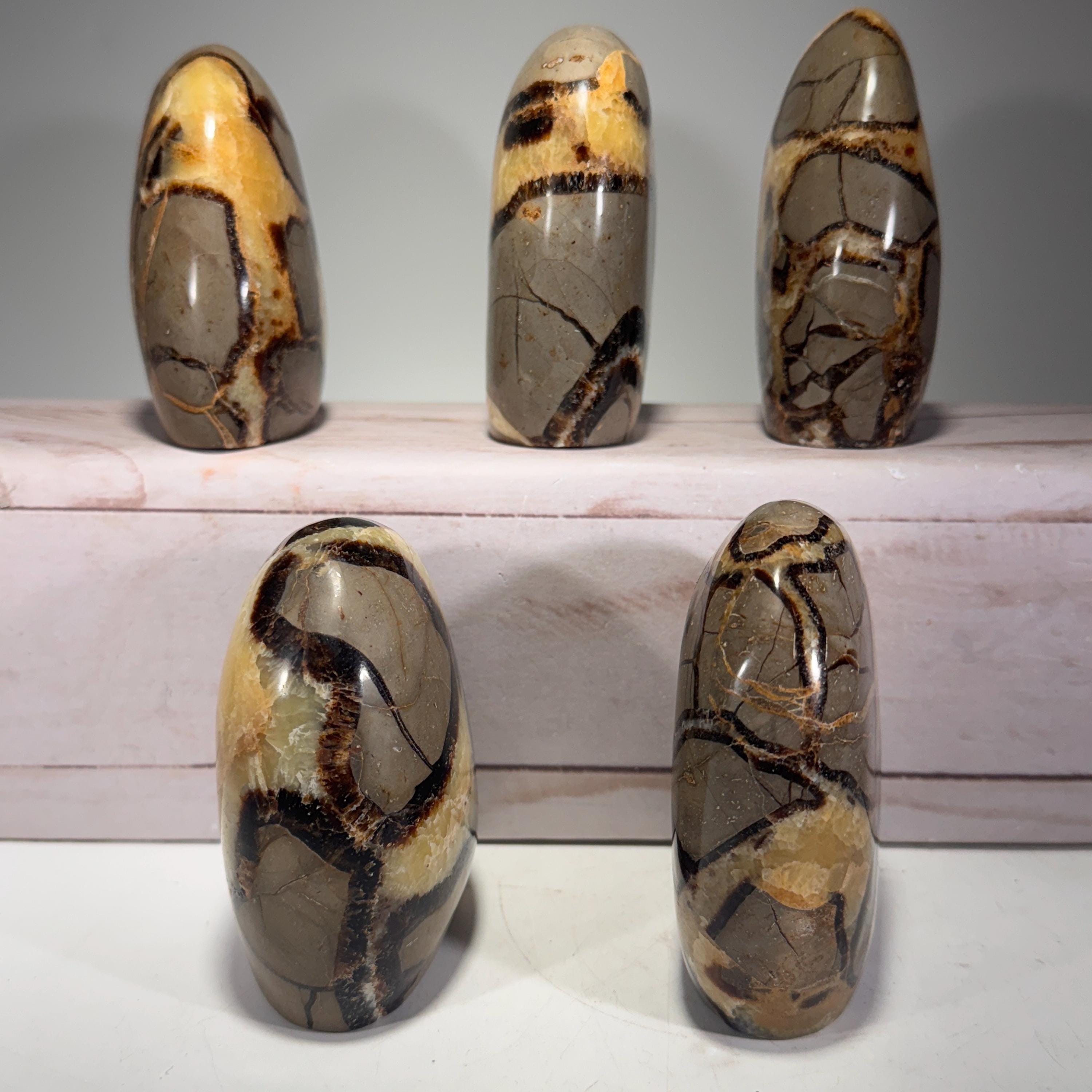 [shopname] - Septarian Nodule freeform, rock decor