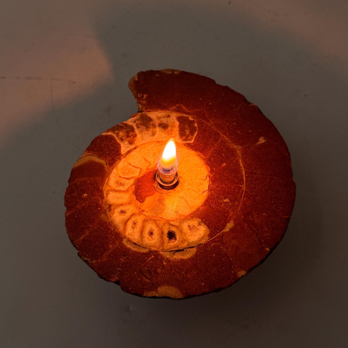 [shopname] - Rock Candle - Ammonite fossil, rock decor