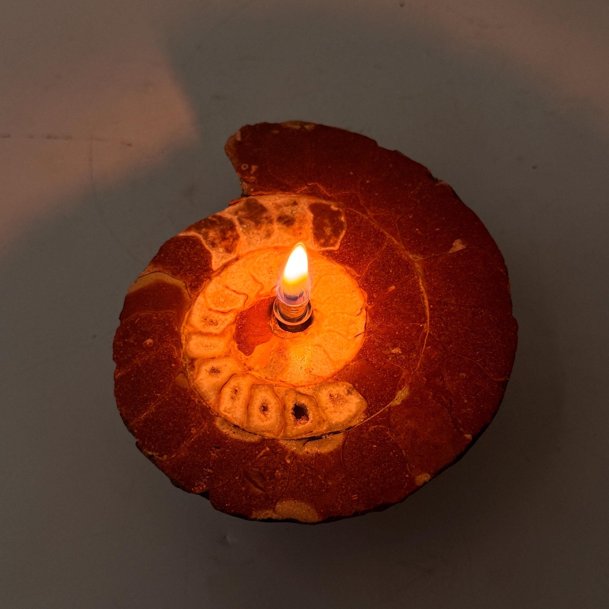 [shopname] - Rock Candle - Ammonite fossil, rock decor