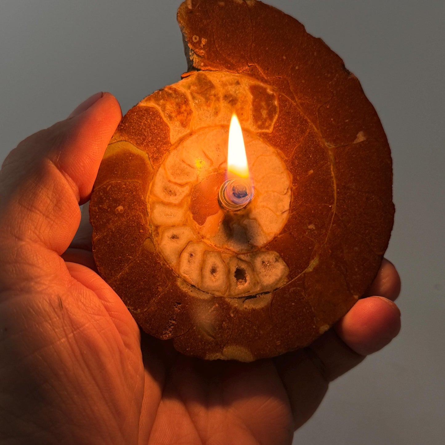 [shopname] - Rock Candle - Ammonite fossil, rock decor